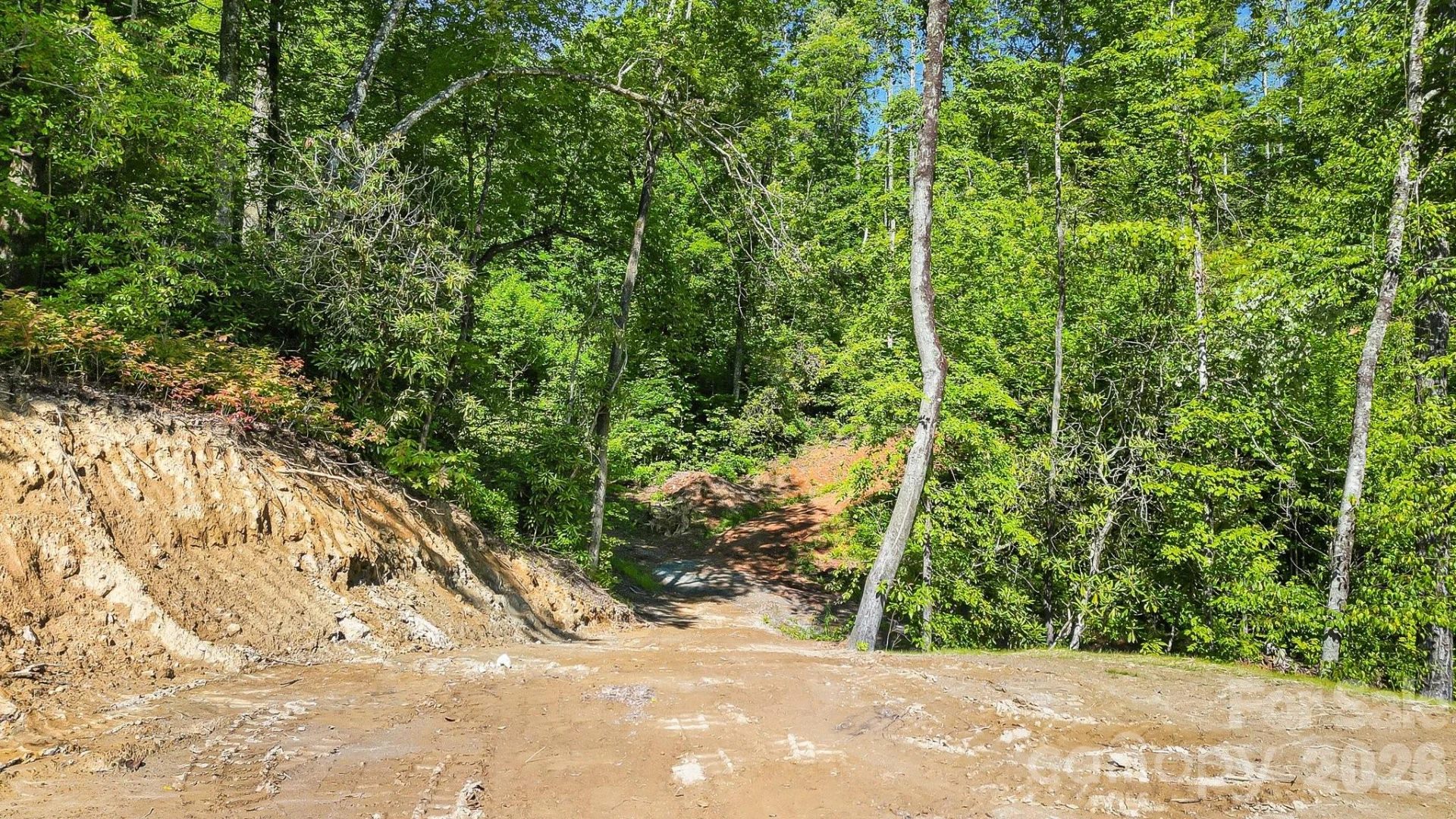 110 South Fork Trail #10 - Photo 25