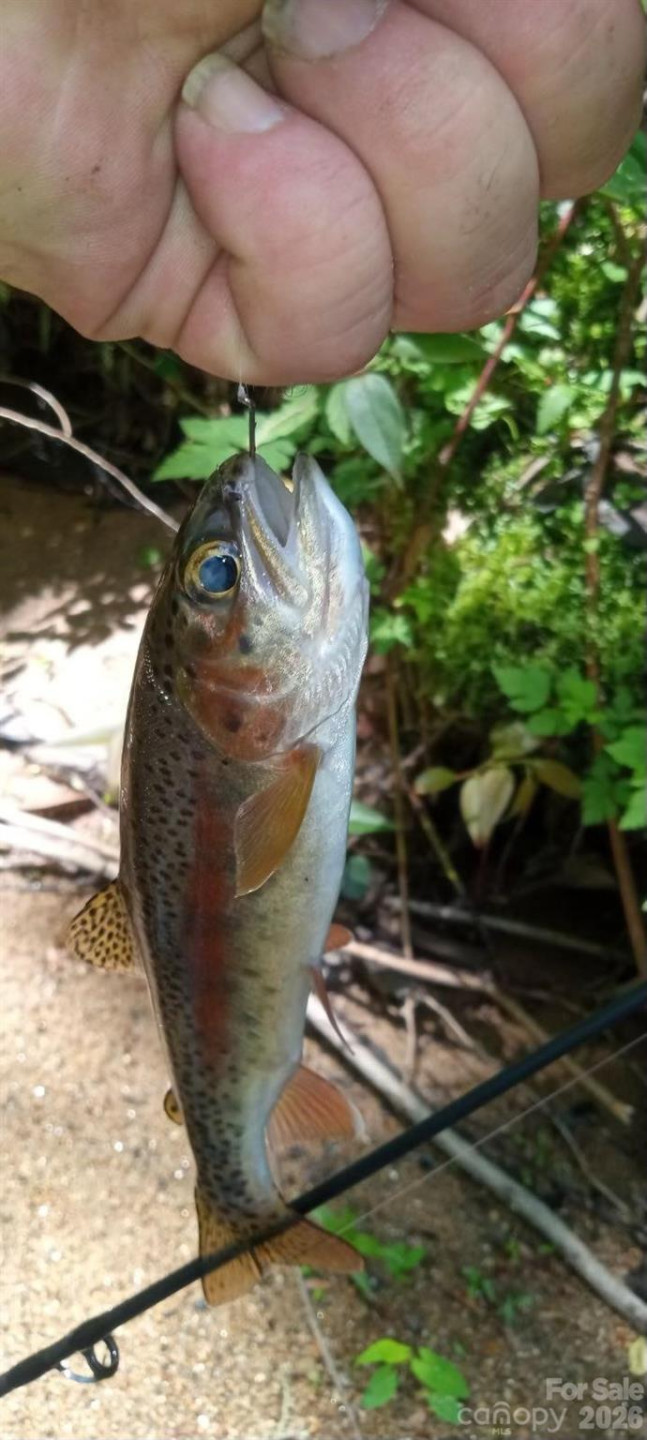 110 South Fork Trail #10 - Photo 42