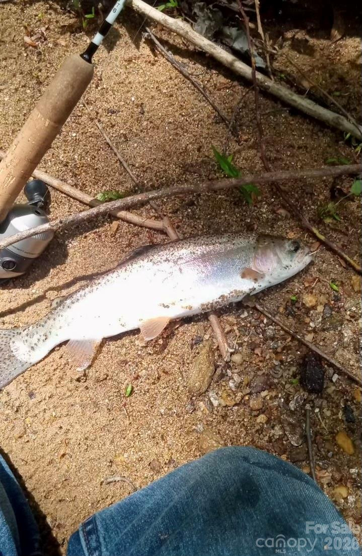 110 South Fork Trail #10 - Photo 43