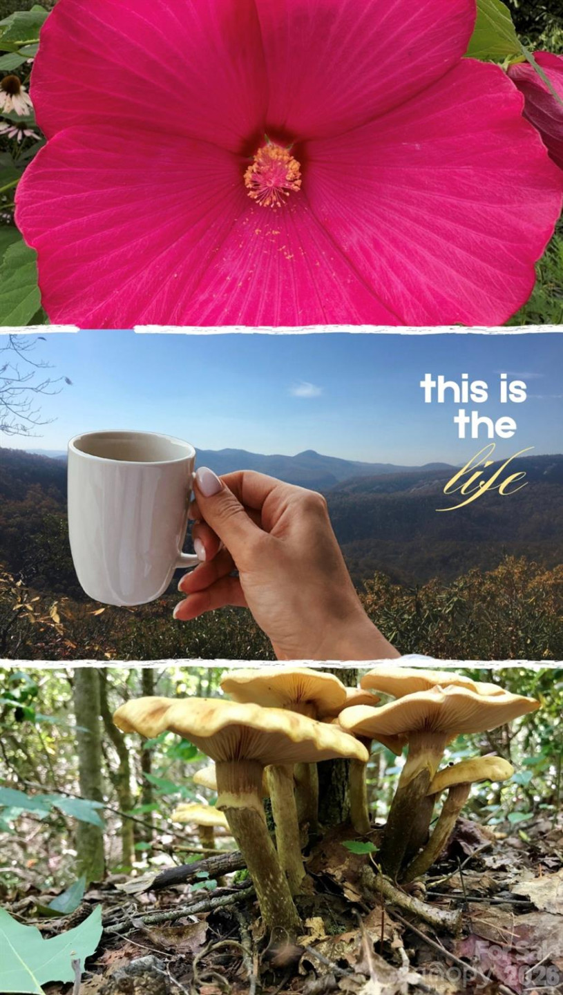 110 South Fork Trail #10 - Photo 6