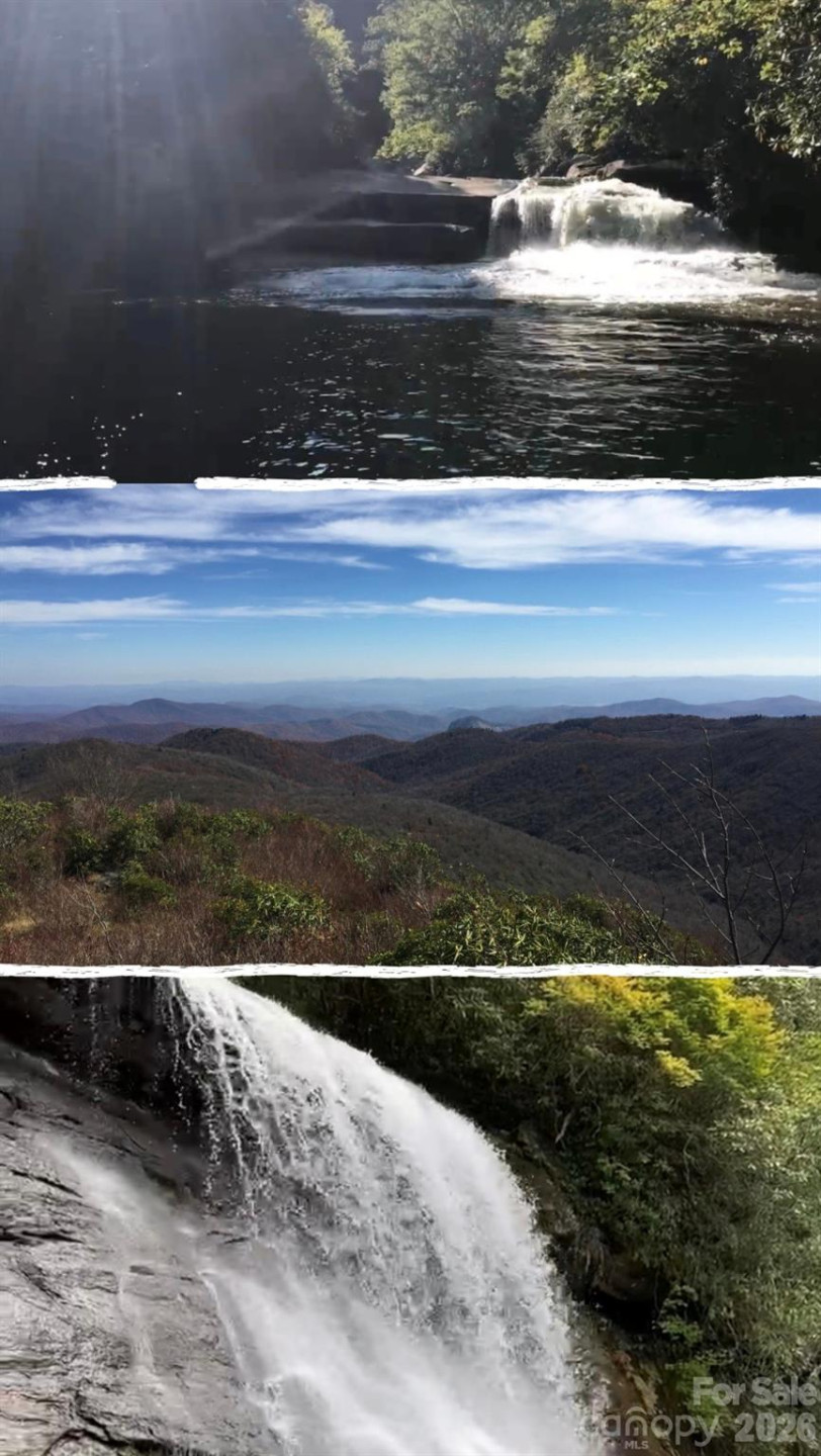 110 South Fork Trail #10 - Photo 7