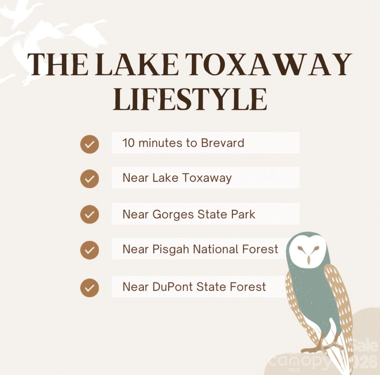 110 South Fork Trail #10 - Photo 8