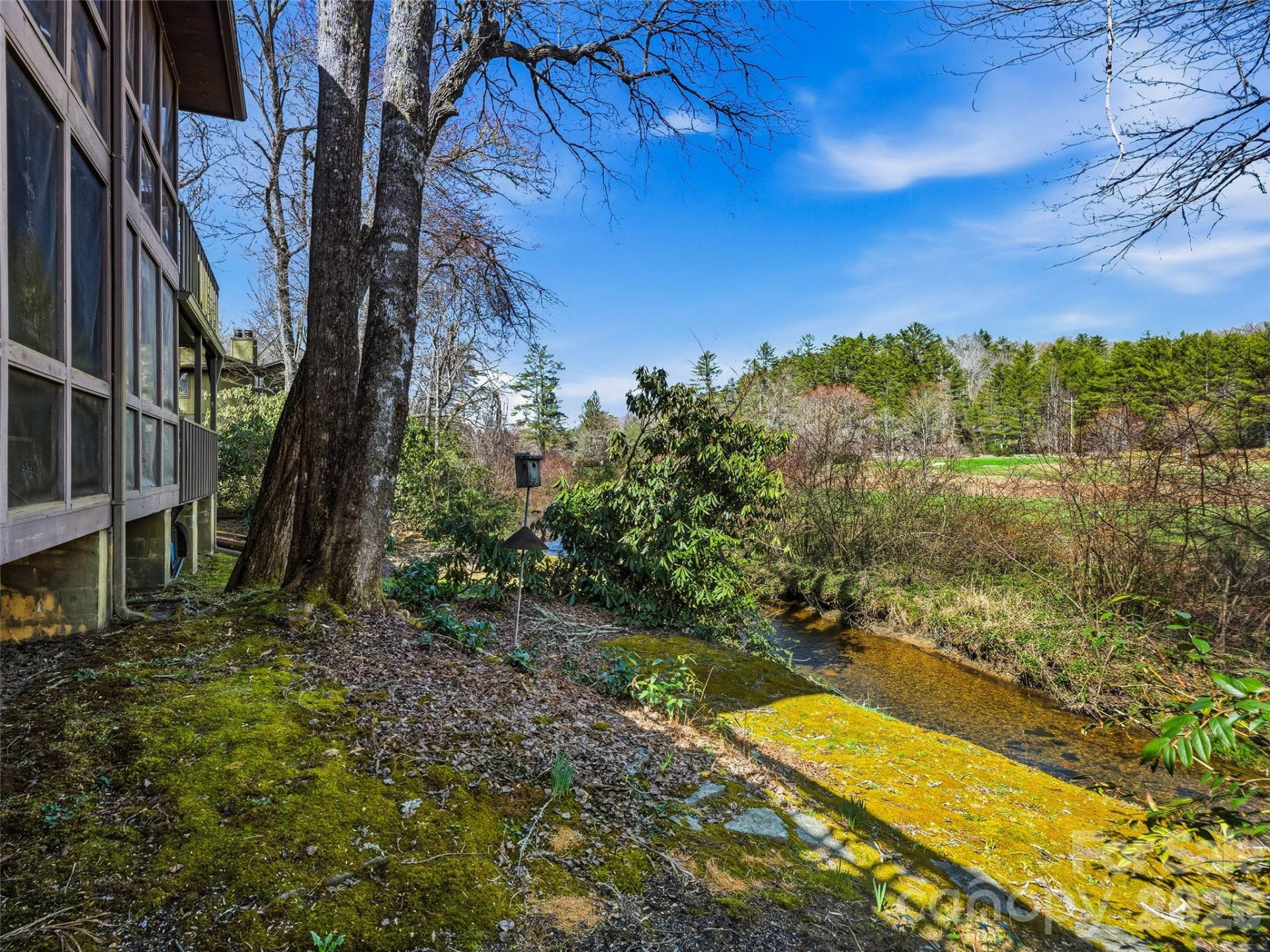 15 Gold Finch Court - Photo 35