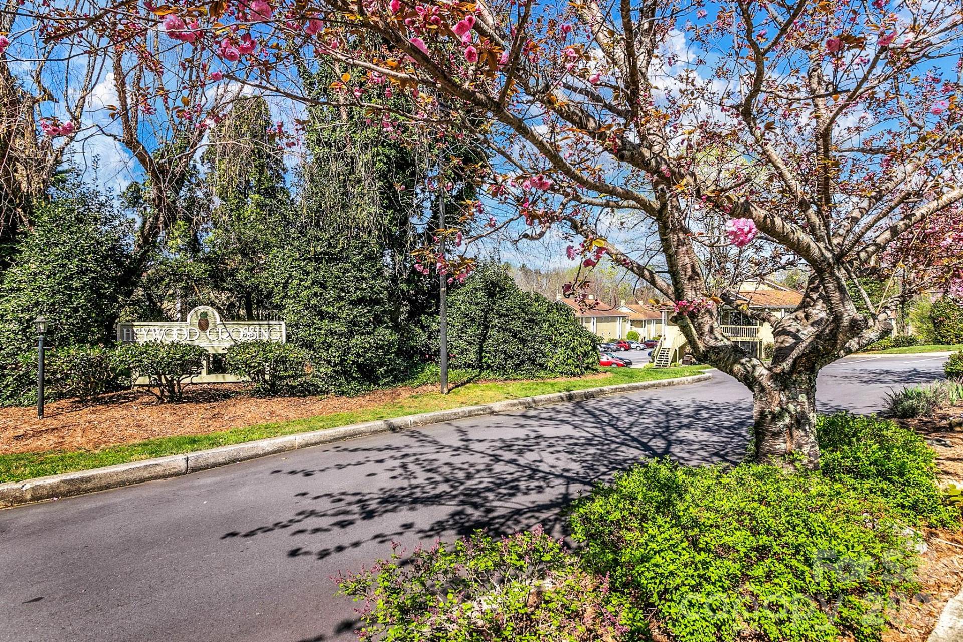 110 Heywood Road #12B - Photo 42