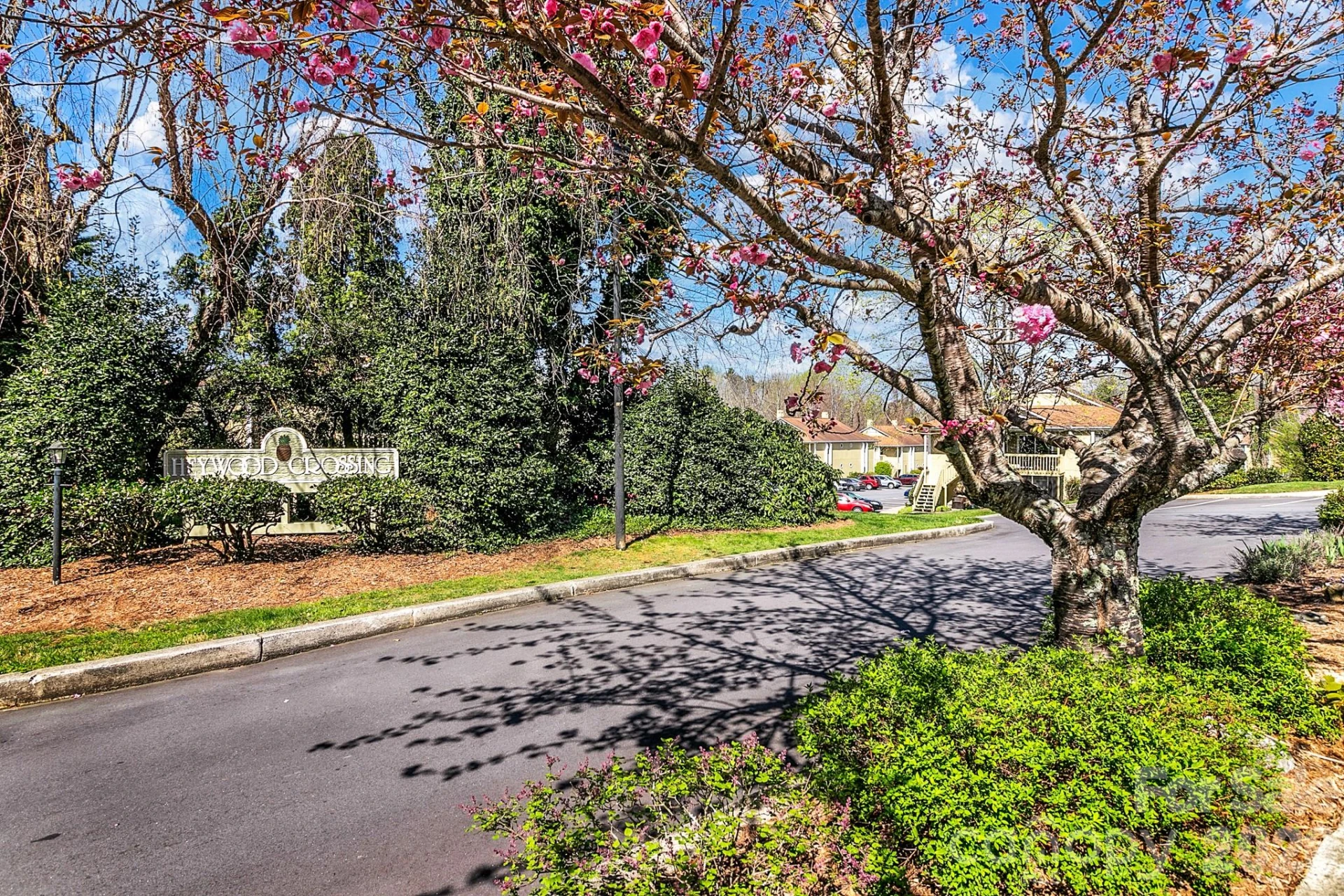 110 Heywood Road #12B - Photo 42
