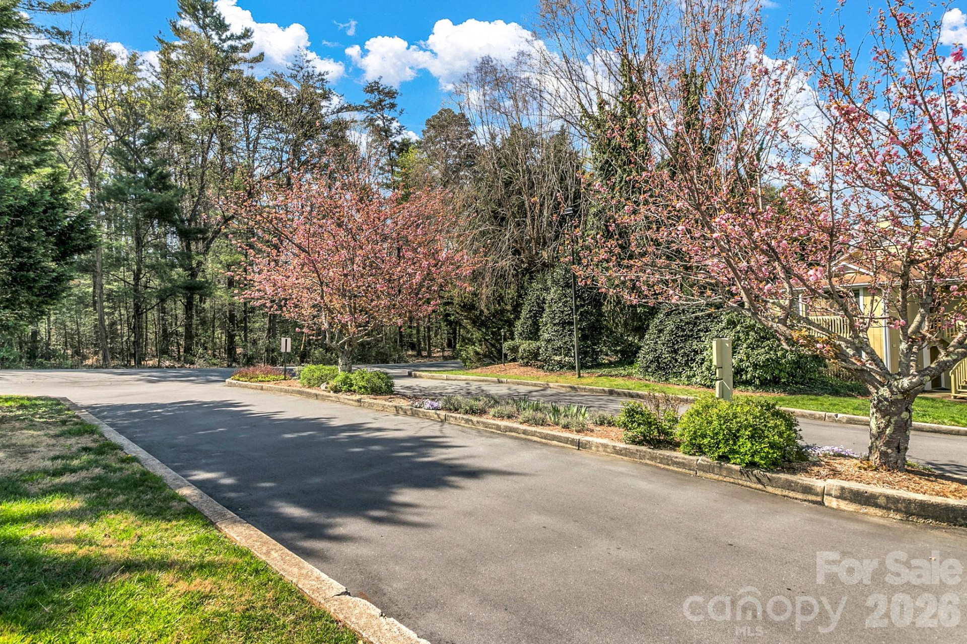 110 Heywood Road #12B - Photo 43