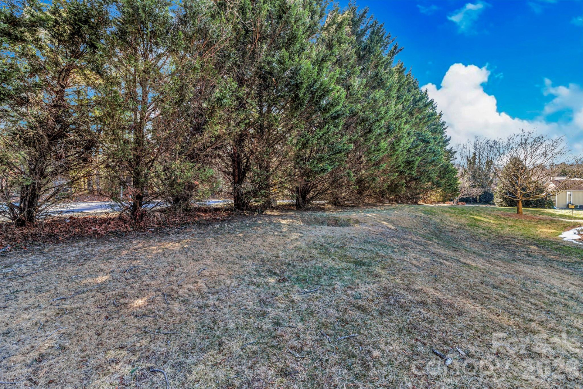 110 Heywood Road #12B - Photo 8