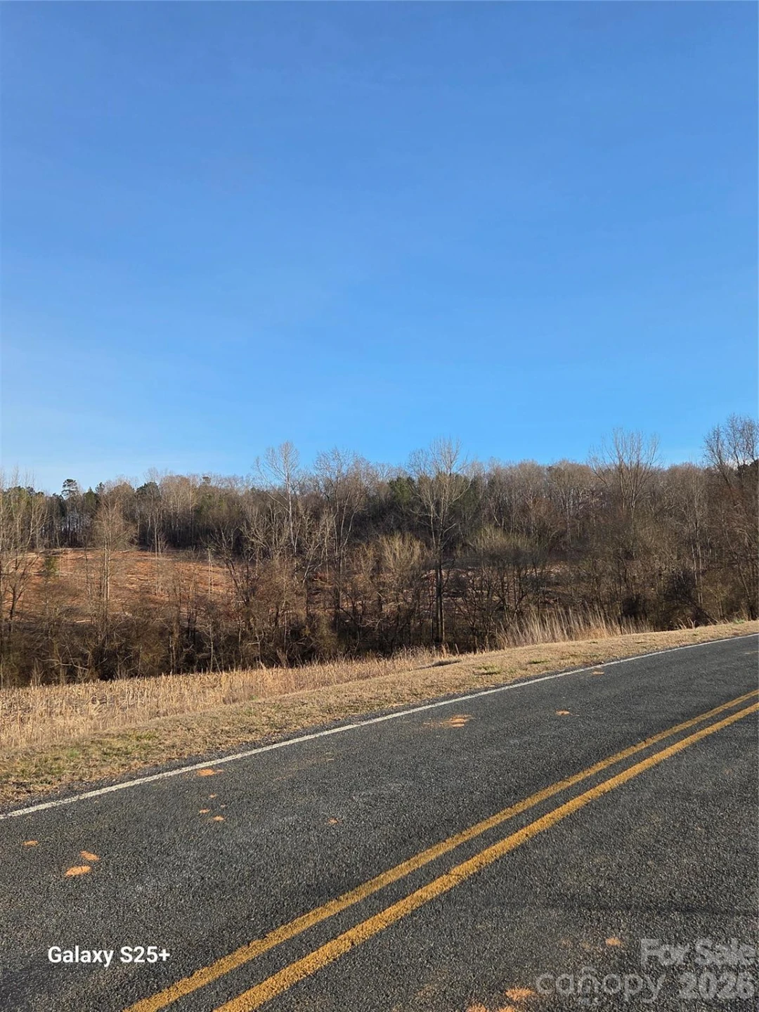 VACANT LAND Pole Running Road - Photo 11