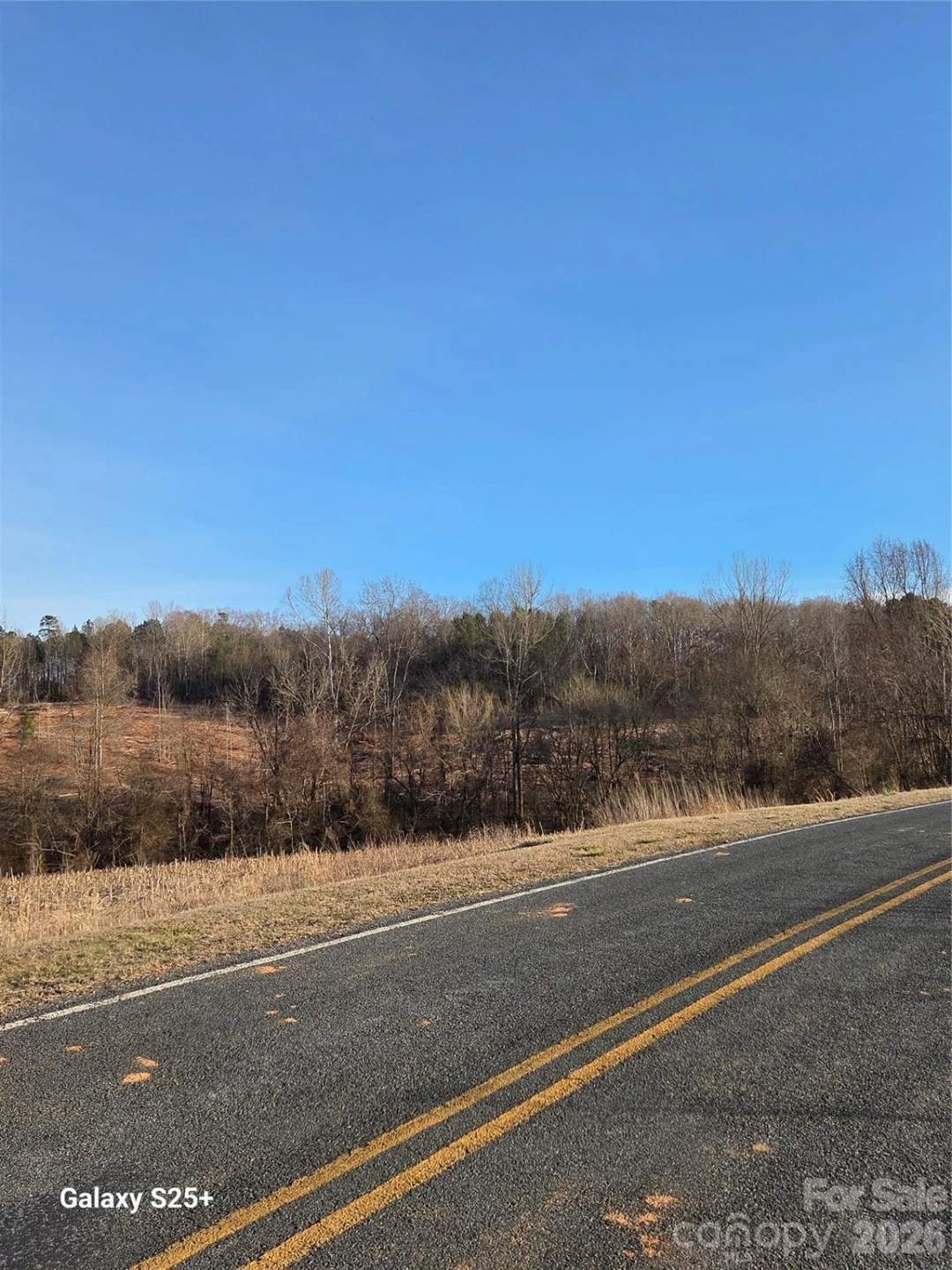 VACANT LAND Pole Running Road - Photo 12