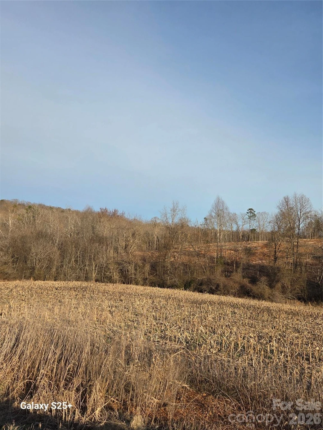 VACANT LAND Pole Running Road - Photo 16