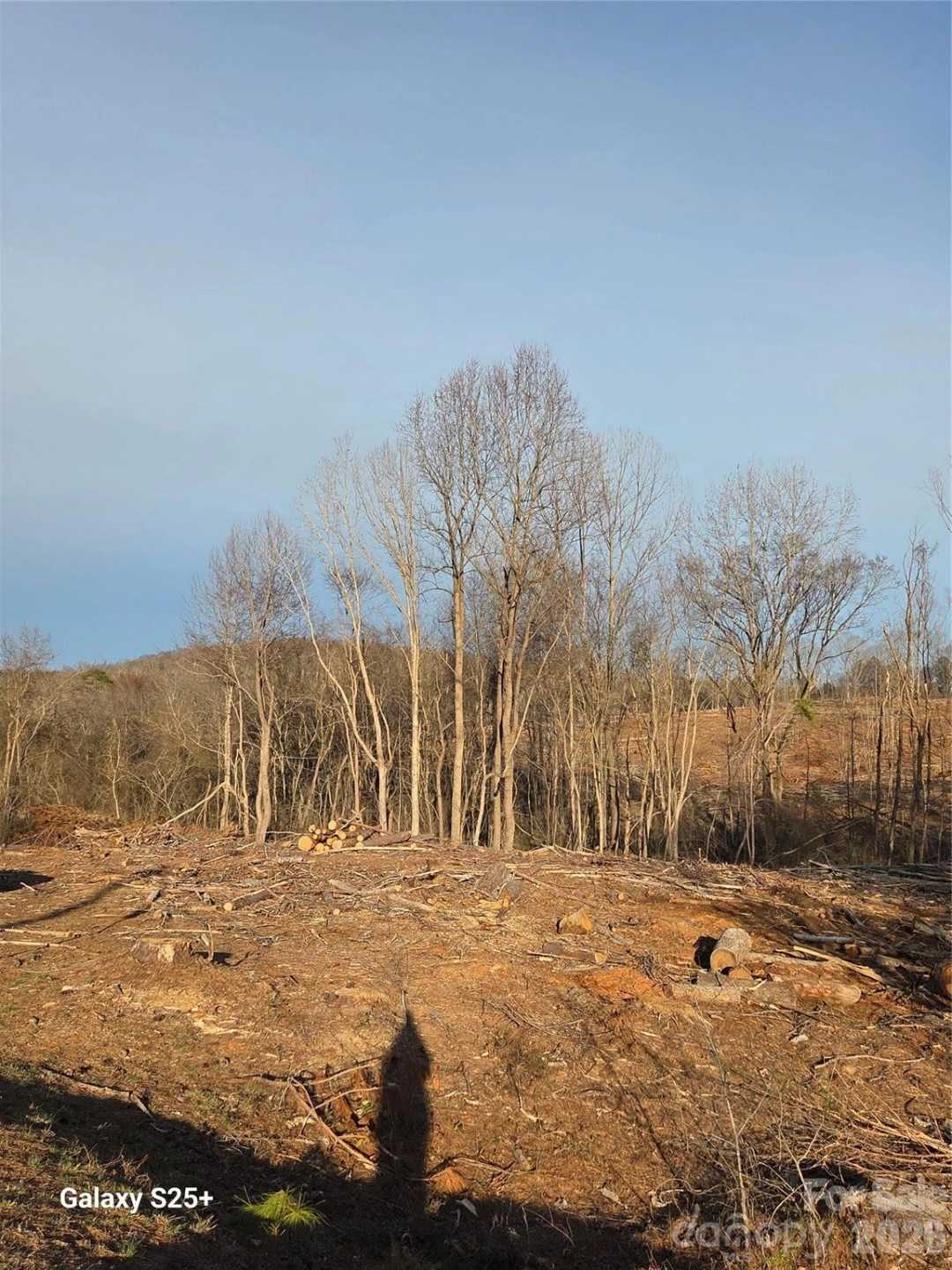 VACANT LAND Pole Running Road - Photo 18