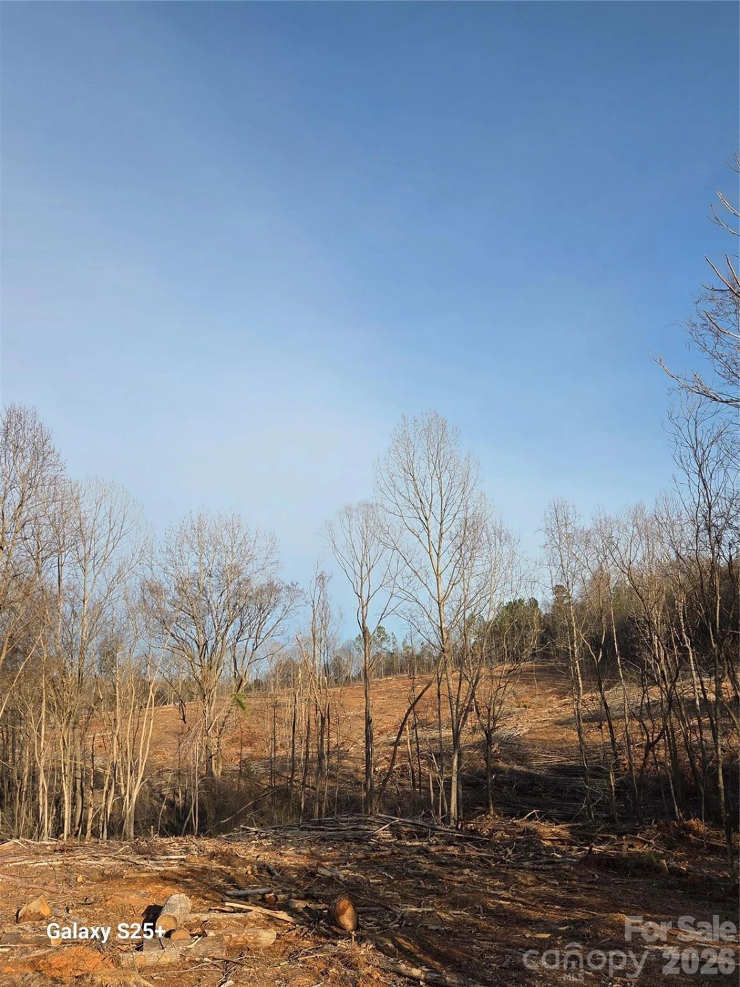 VACANT LAND Pole Running Road - Photo 19