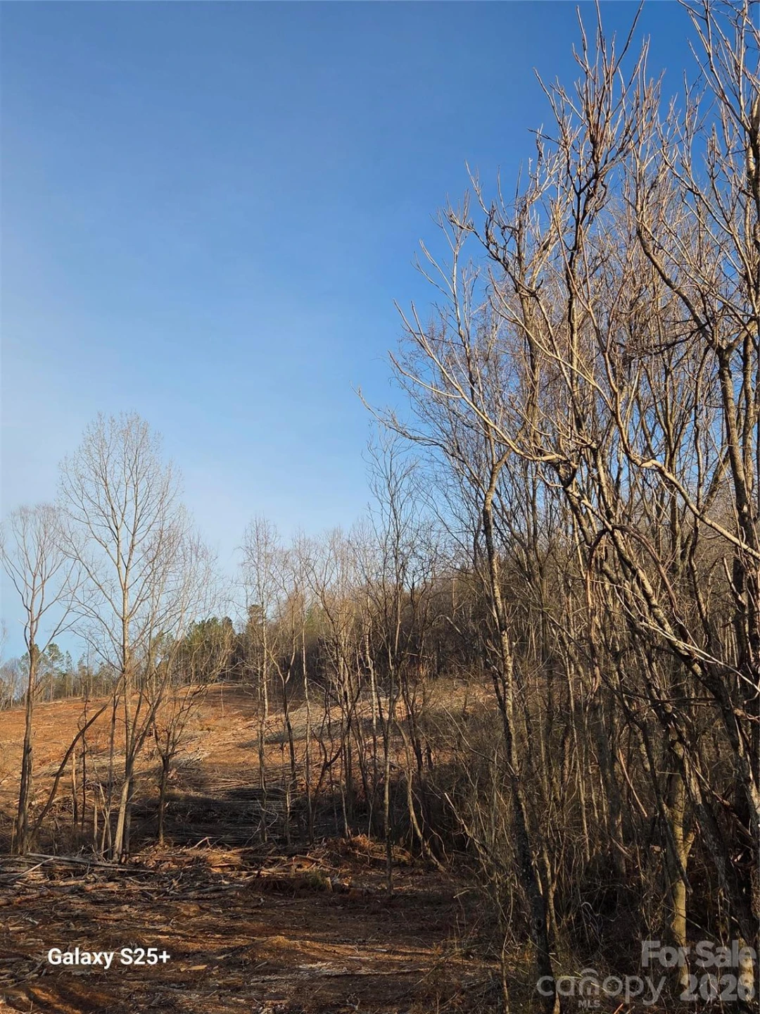 VACANT LAND Pole Running Road - Photo 20
