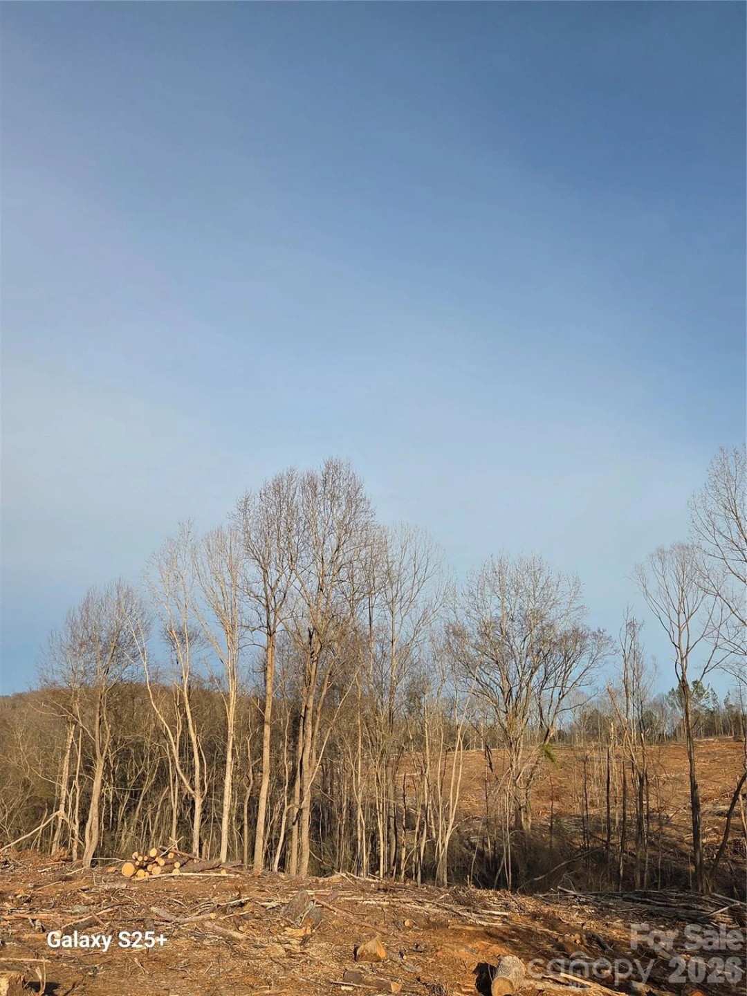 VACANT LAND Pole Running Road - Photo 21