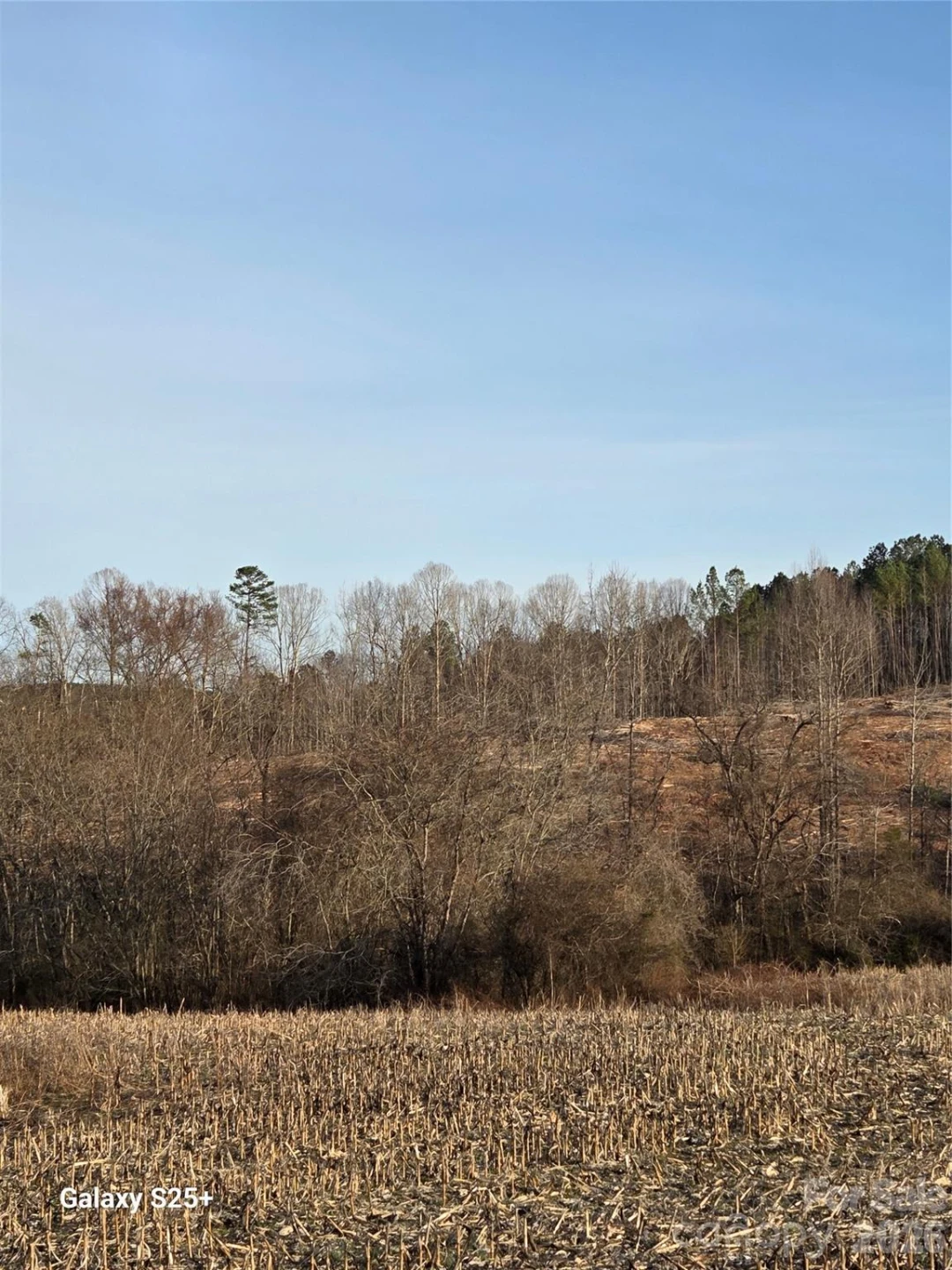 VACANT LAND Pole Running Road - Photo 4