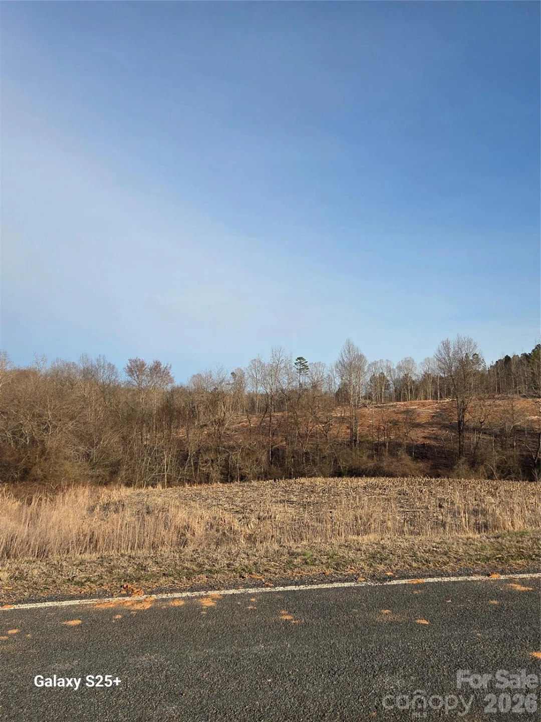 VACANT LAND Pole Running Road - Photo 10