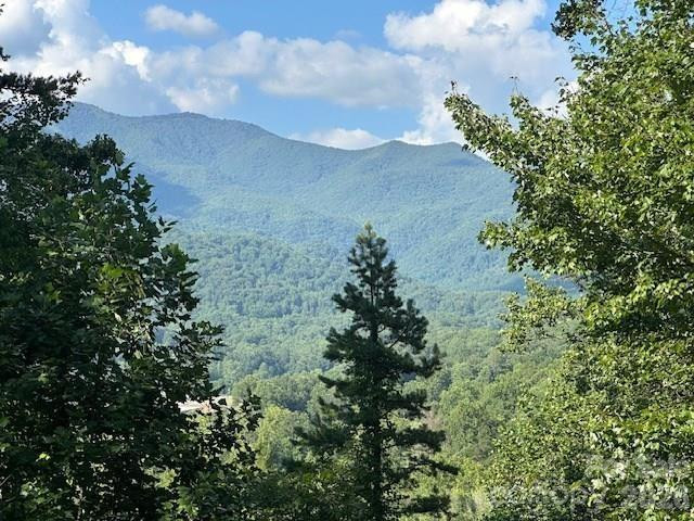 232 Heavenly View Drive - Photo 2