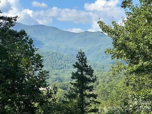 232 Heavenly View Drive - Photo 2