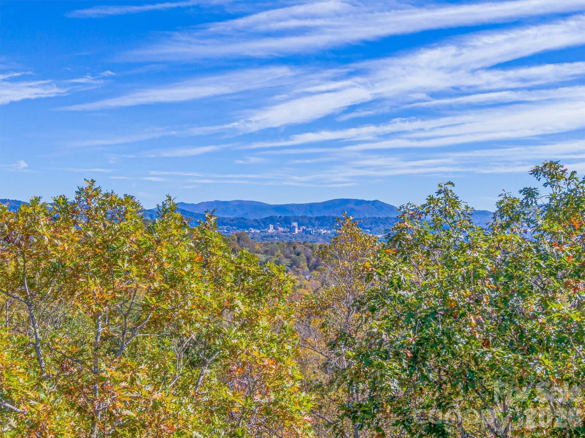 17 Denali Drive #V-108