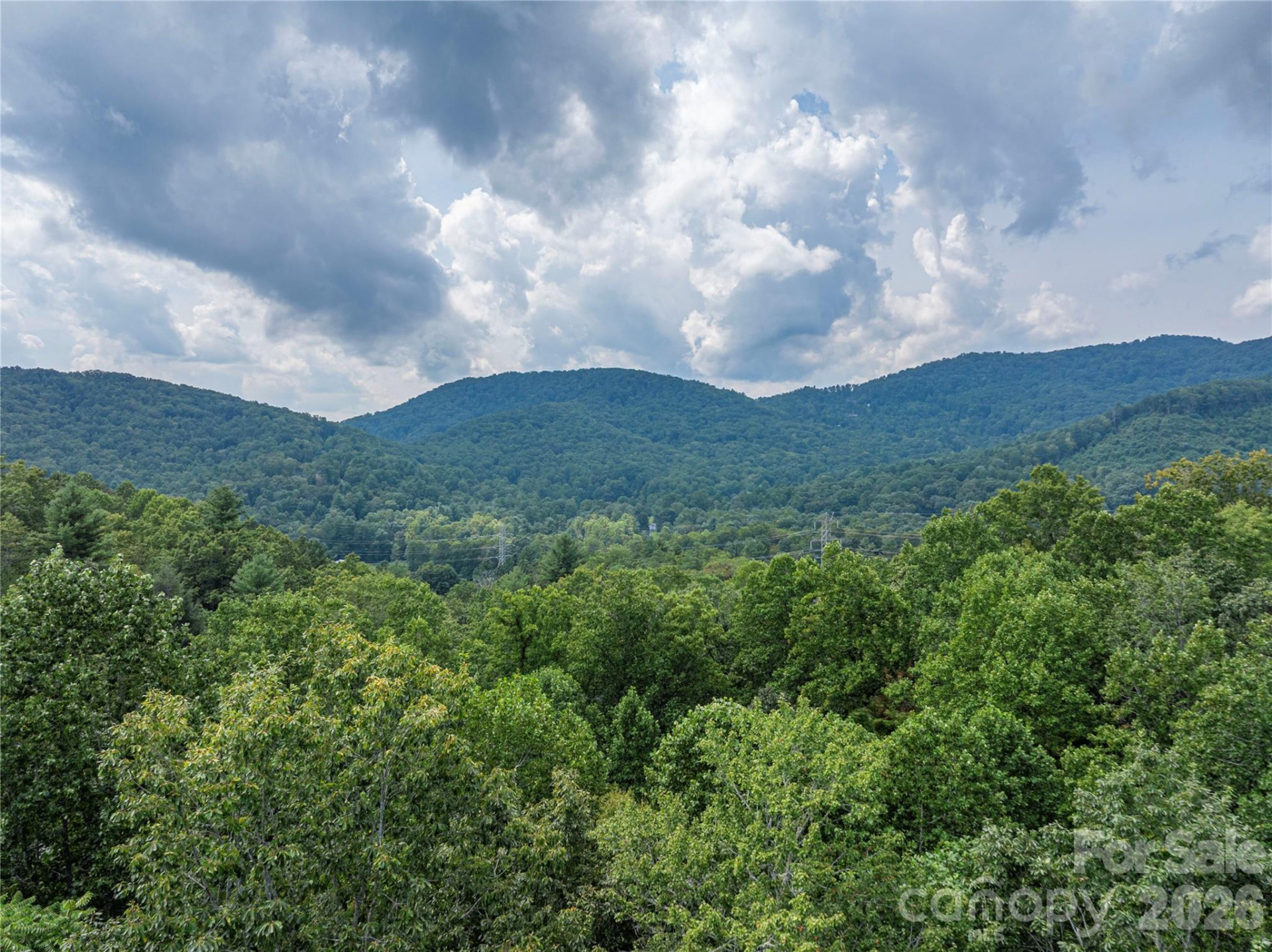 116 Ivy Road - Photo 3