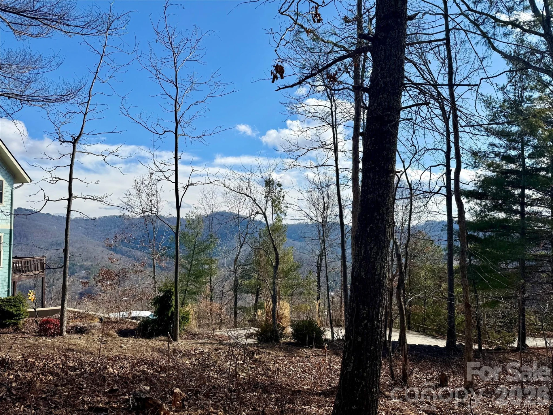 000 Rambling Ridge Road #16 - Photo 2