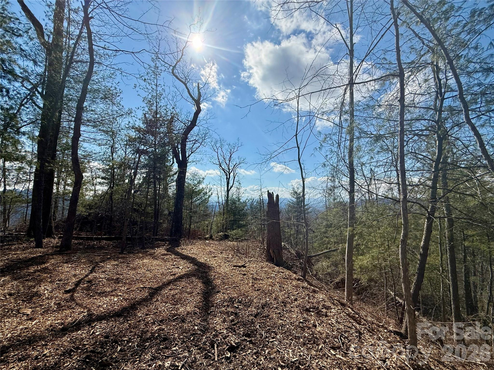 000 Rambling Ridge Road #16 - Photo 11