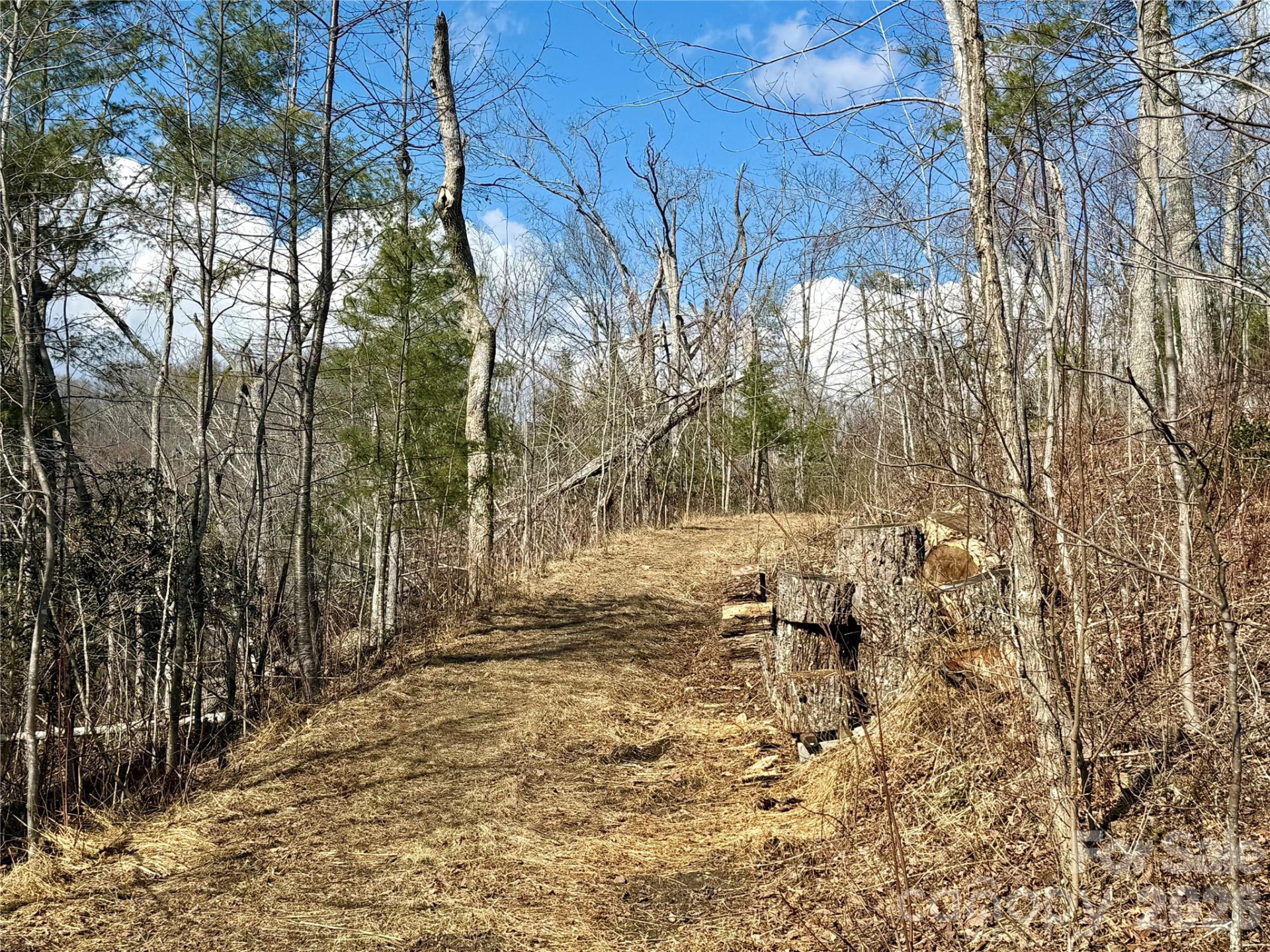 000 Rambling Ridge Road #16 - Photo 12