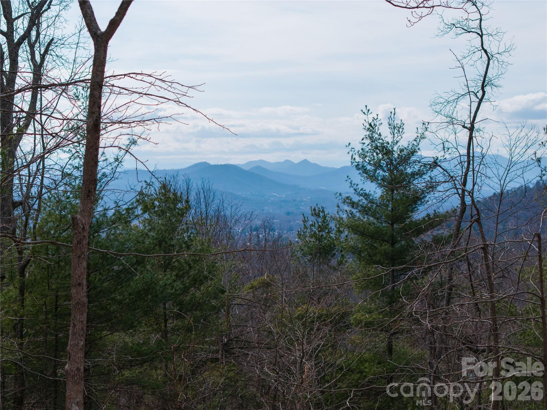 000 Rambling Ridge Road #16 - Photo 14