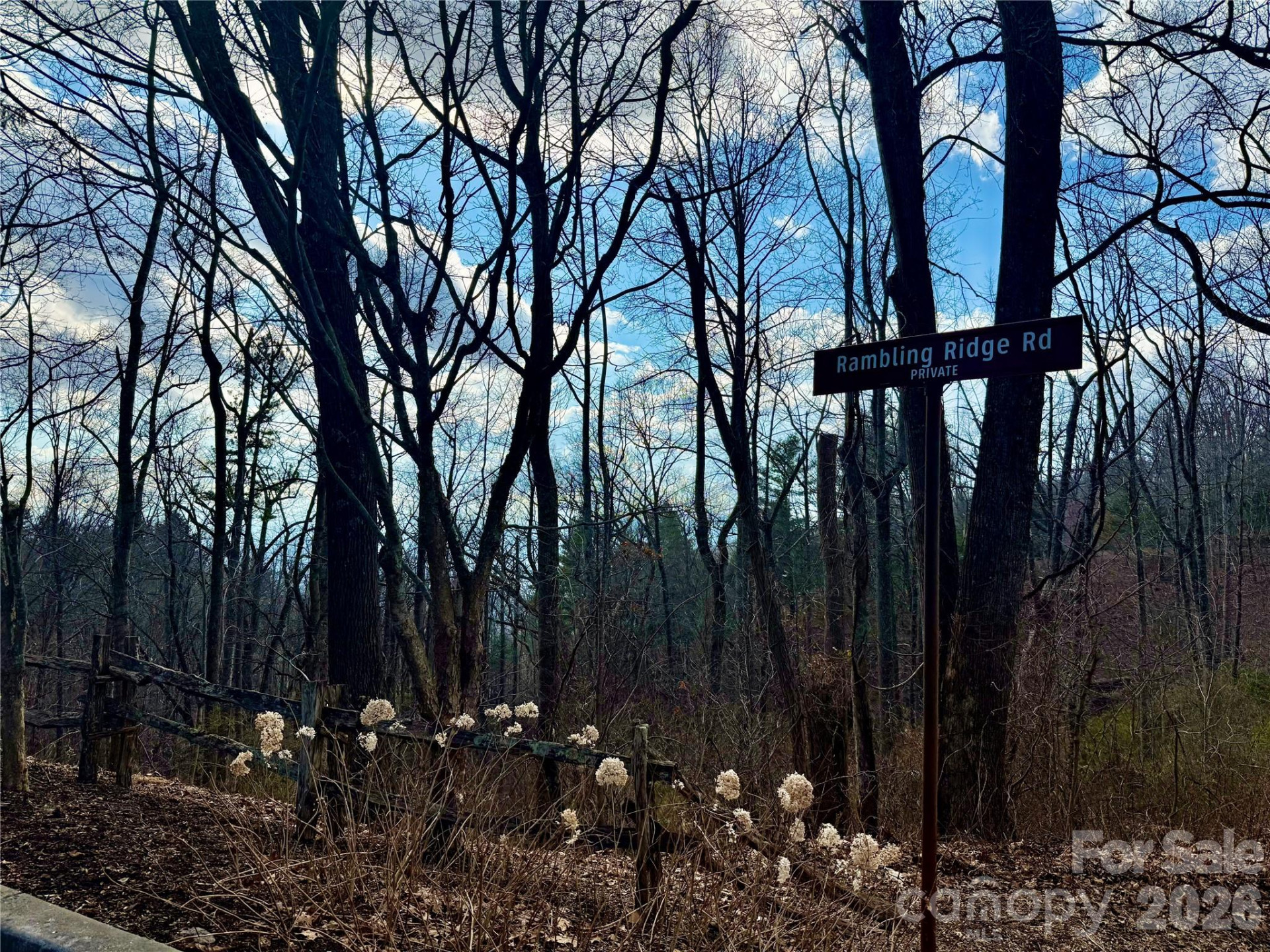 000 Rambling Ridge Road #16 - Photo 16