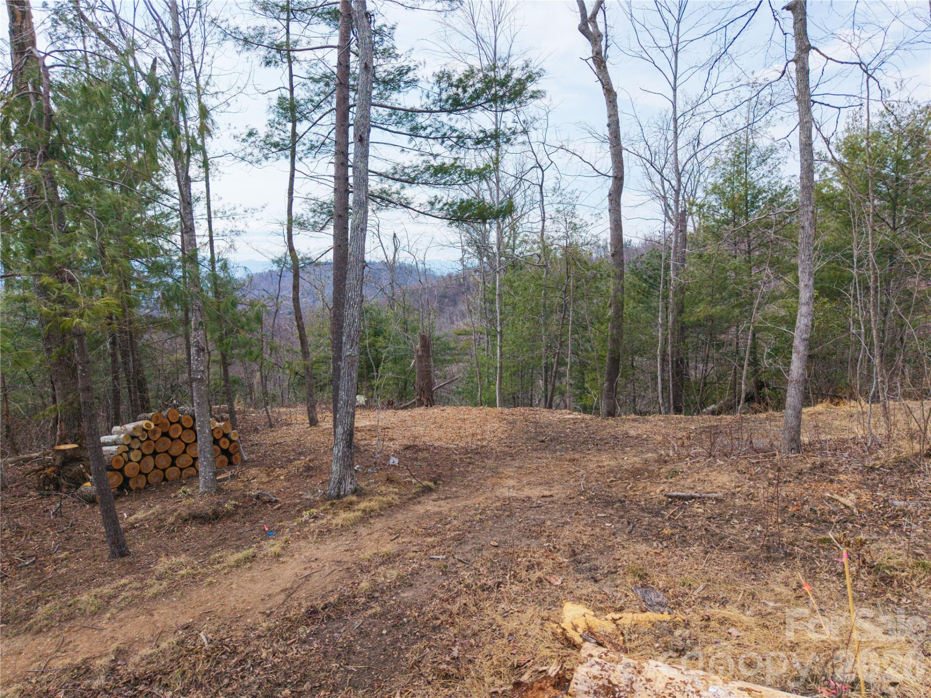 000 Rambling Ridge Road #16 - Photo 4