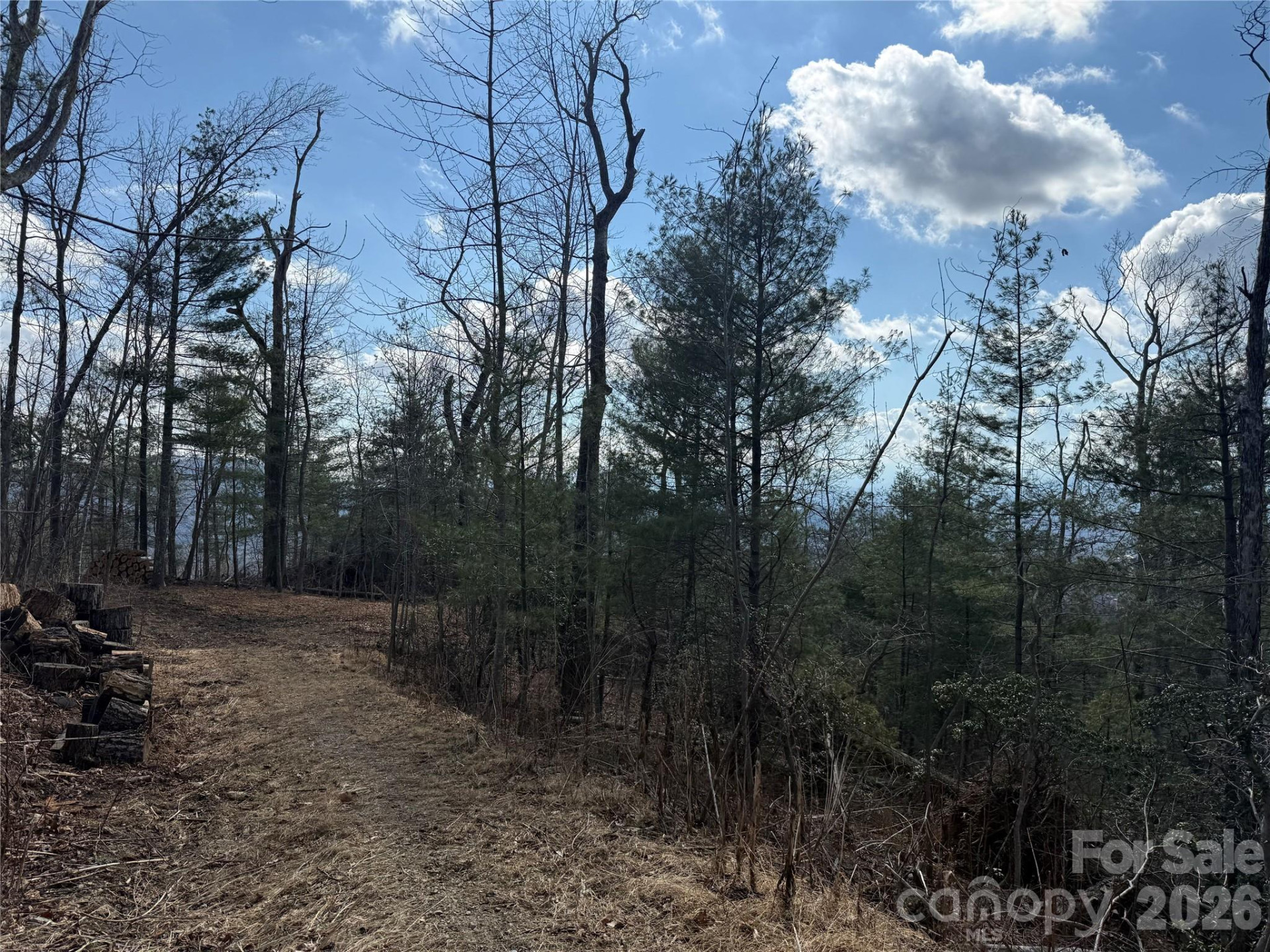 000 Rambling Ridge Road #16 - Photo 6