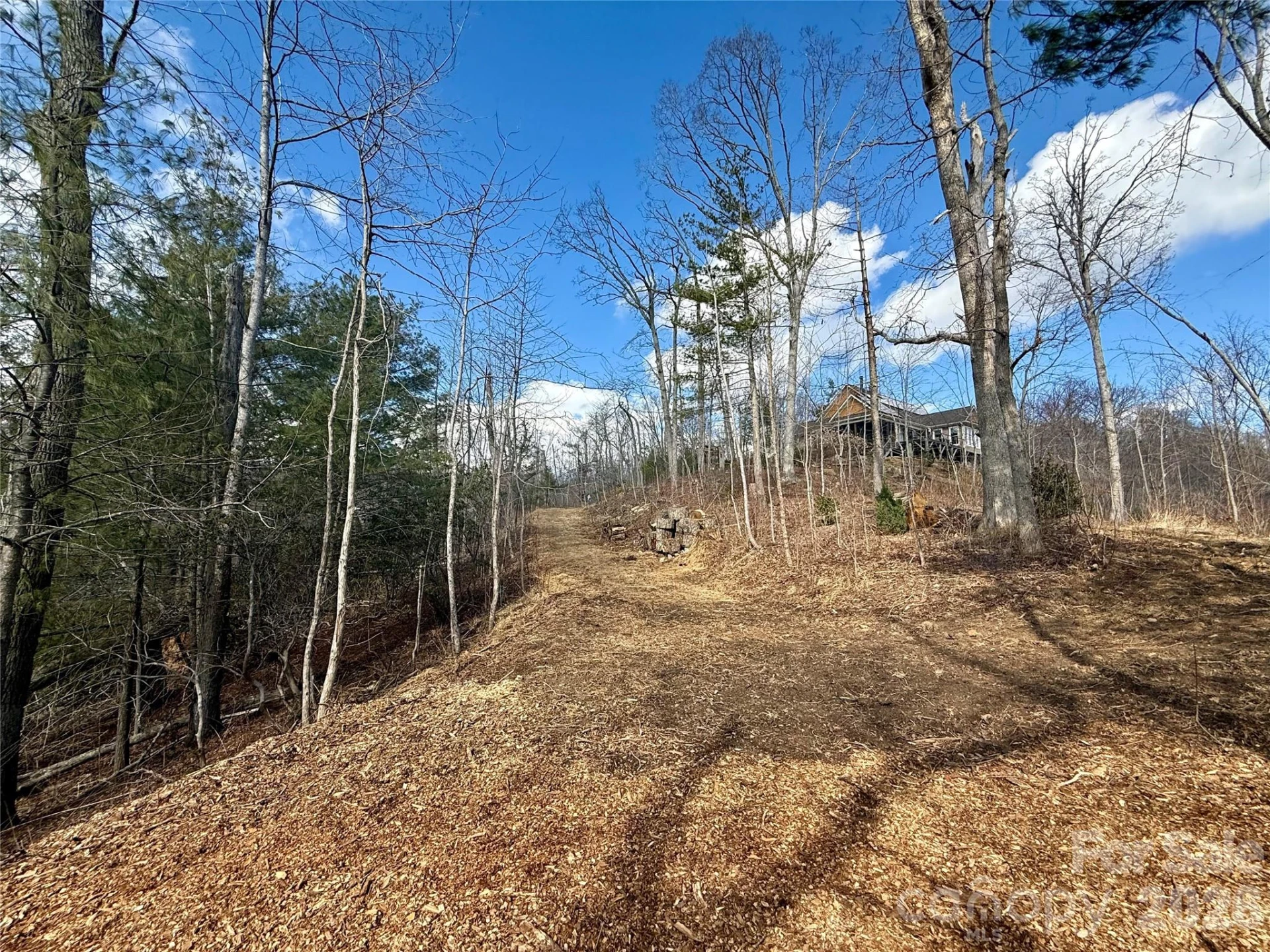000 Rambling Ridge Road #16 - Photo 7