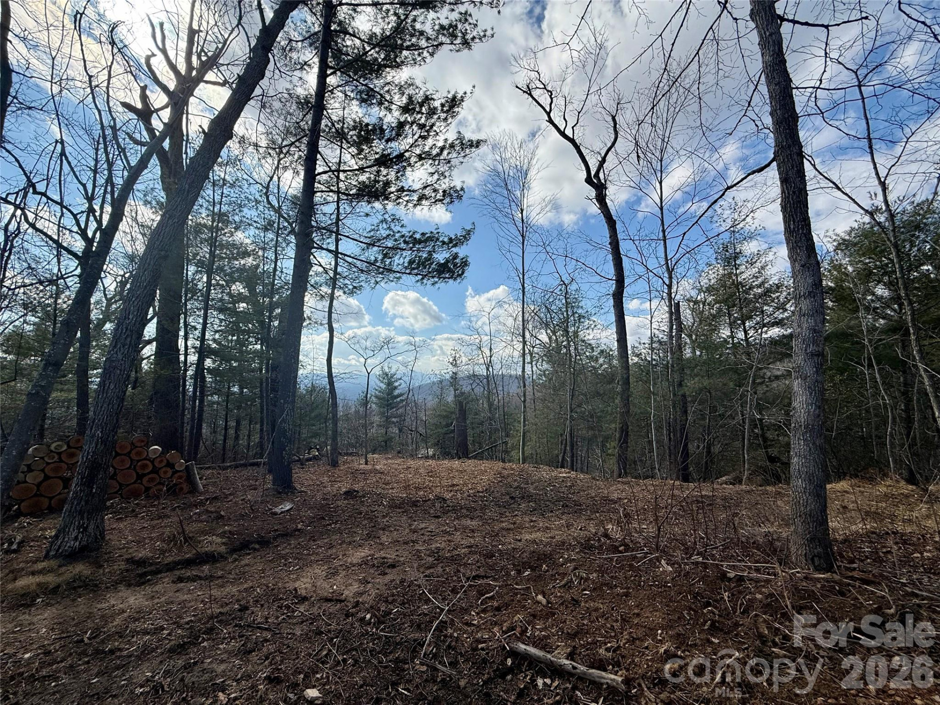 000 Rambling Ridge Road #16 - Photo 8