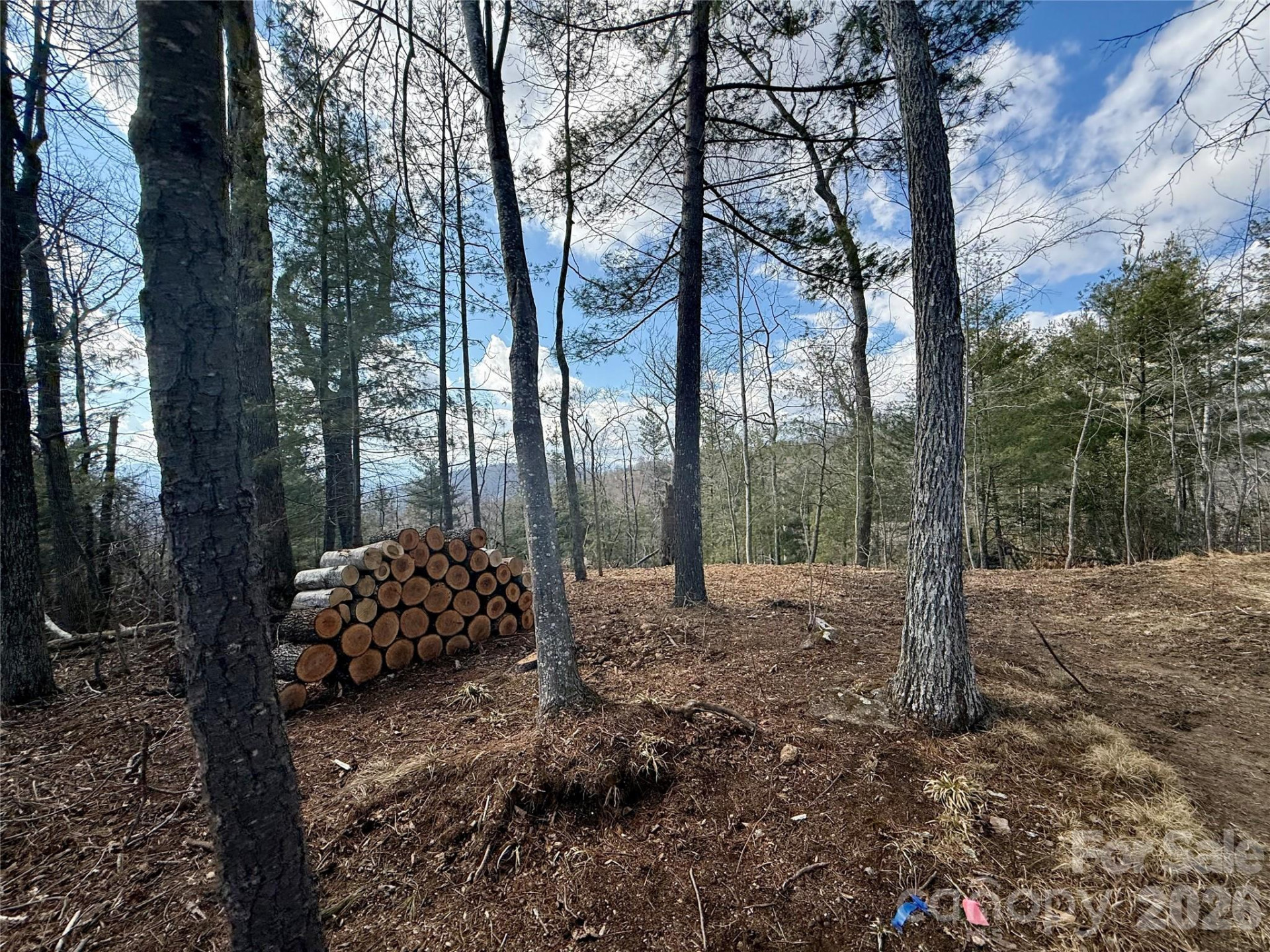 000 Rambling Ridge Road #16 - Photo 9