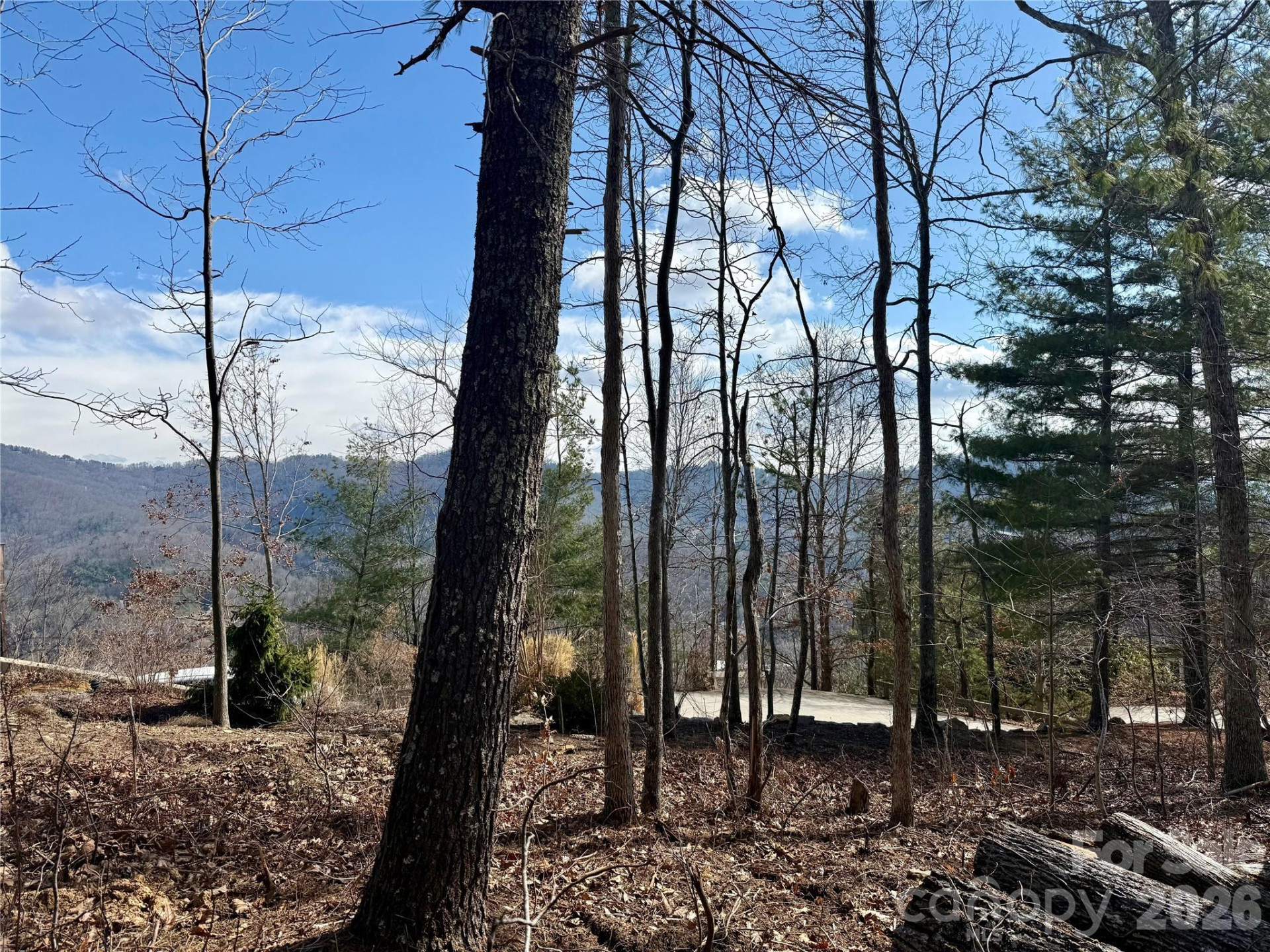 000 Rambling Ridge Road #16 - Photo 10