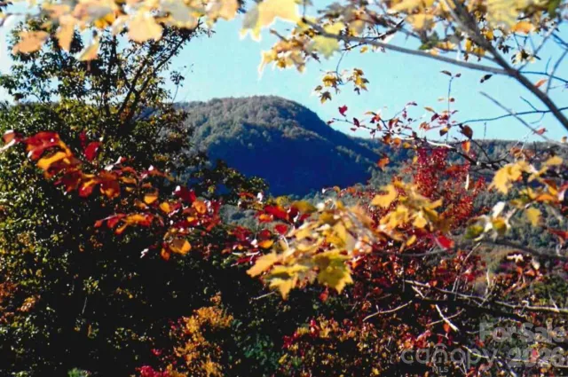 000 Froggyville Lane, Mill Spring, NC, 28756