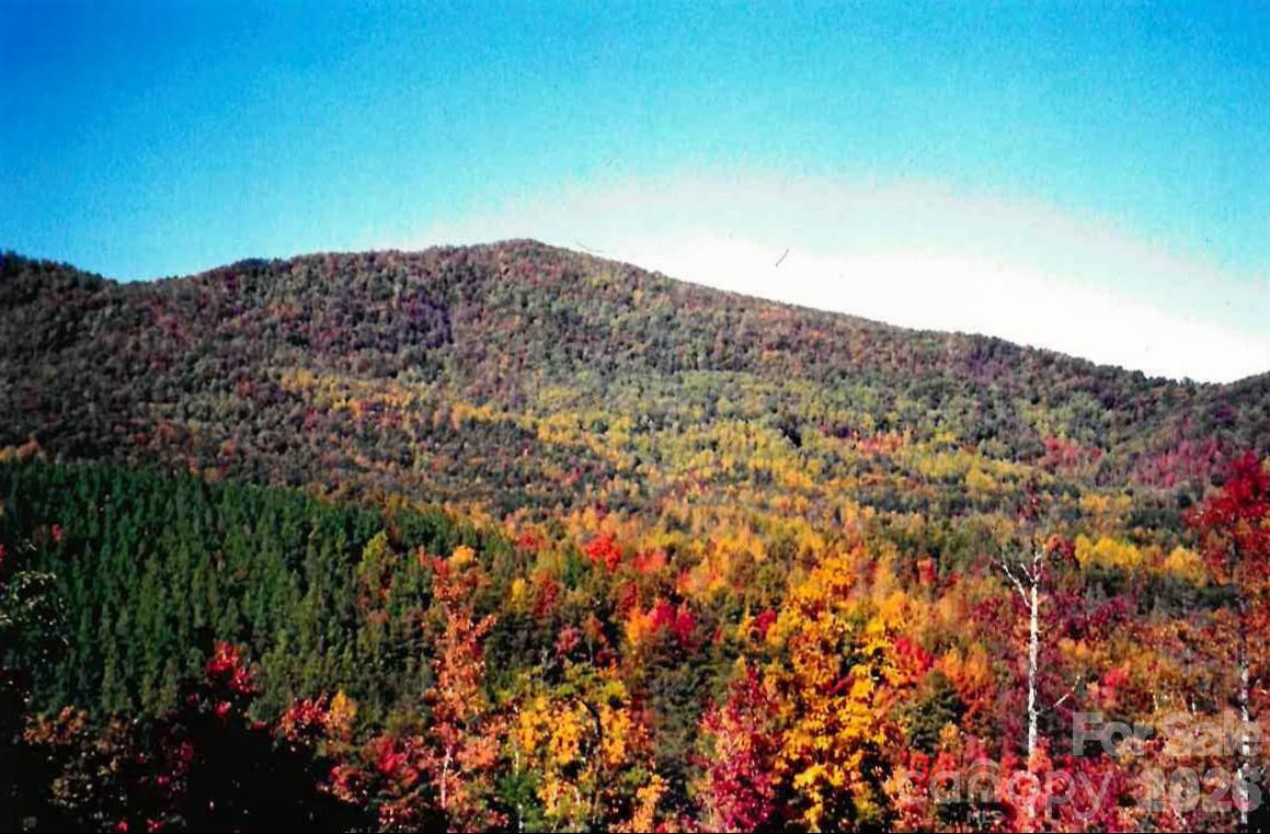 000 Froggyville Lane - Photo 2