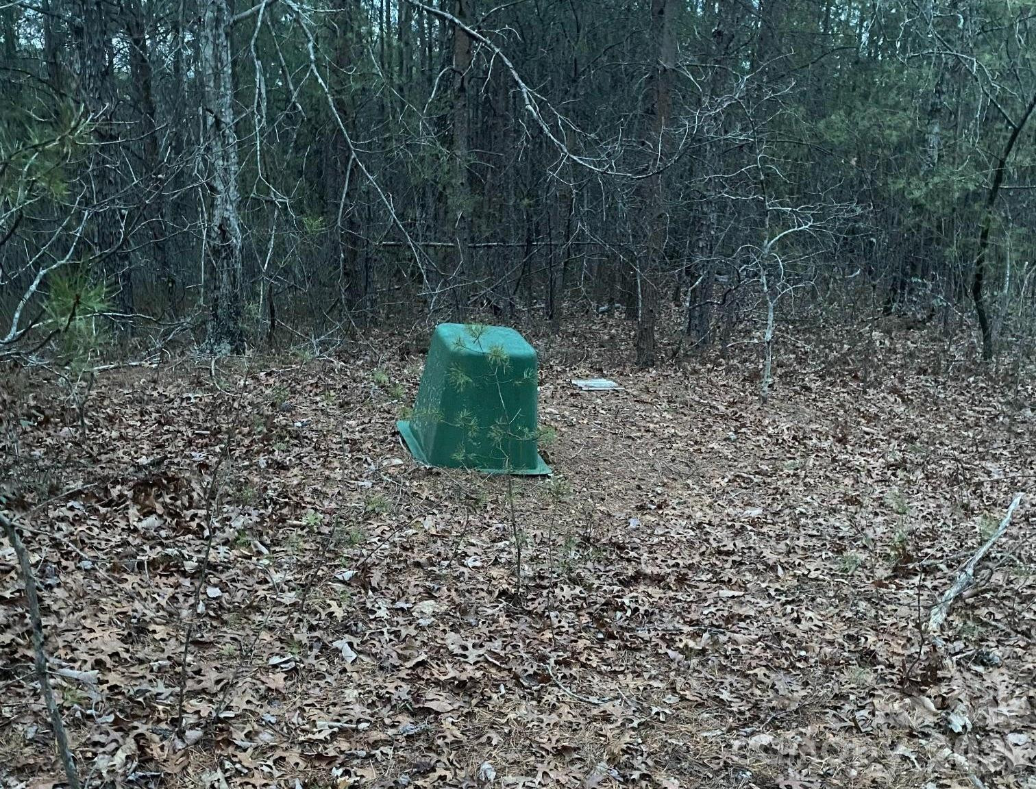 000 Froggyville Lane - Photo 12