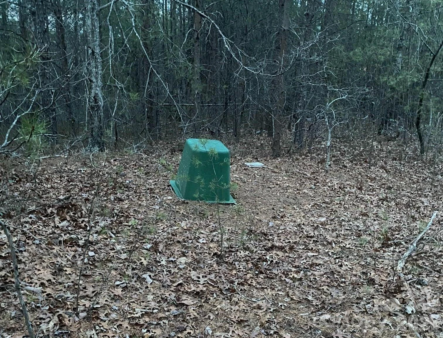 000 Froggyville Lane - Photo 12