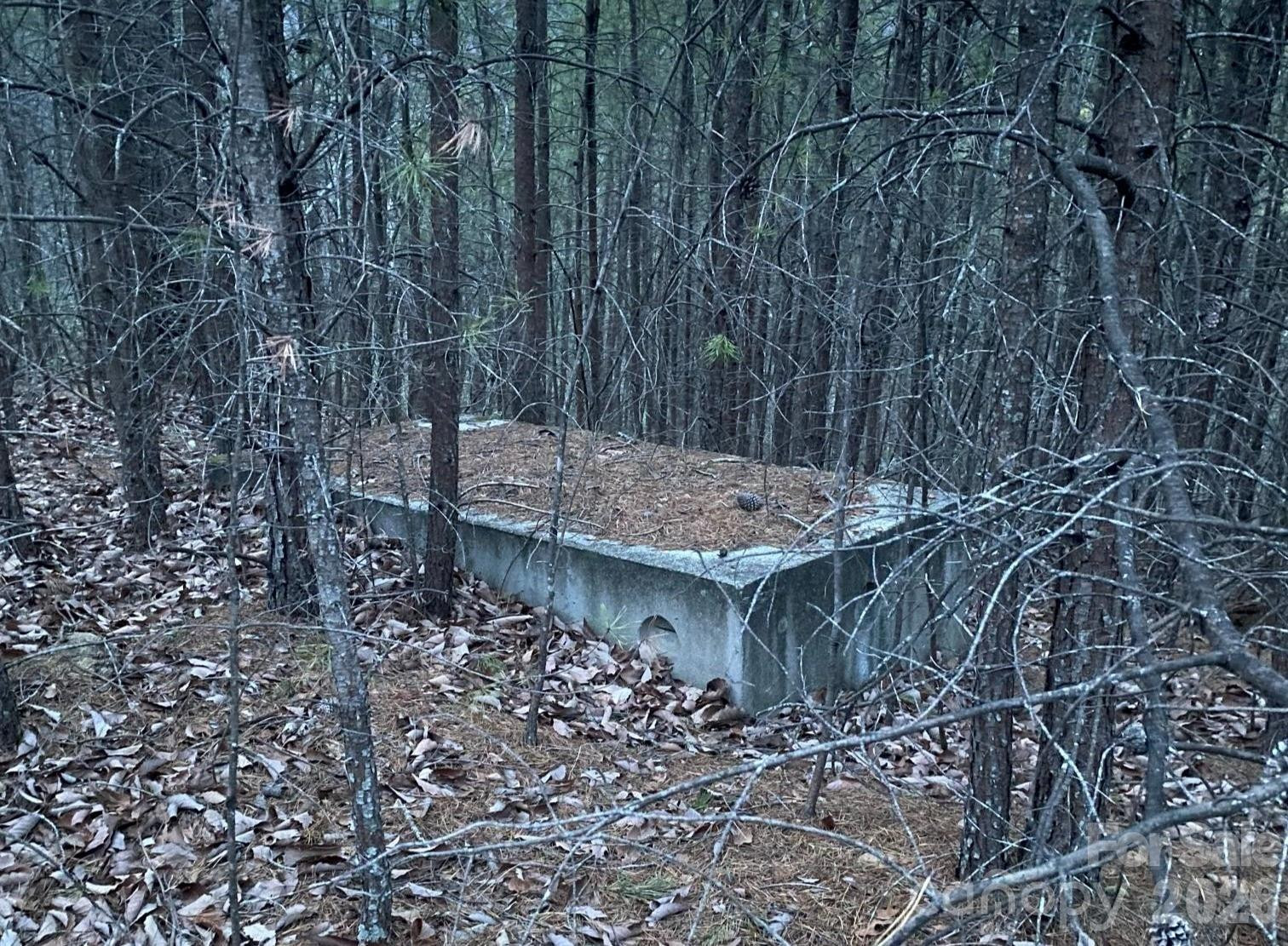 000 Froggyville Lane - Photo 14