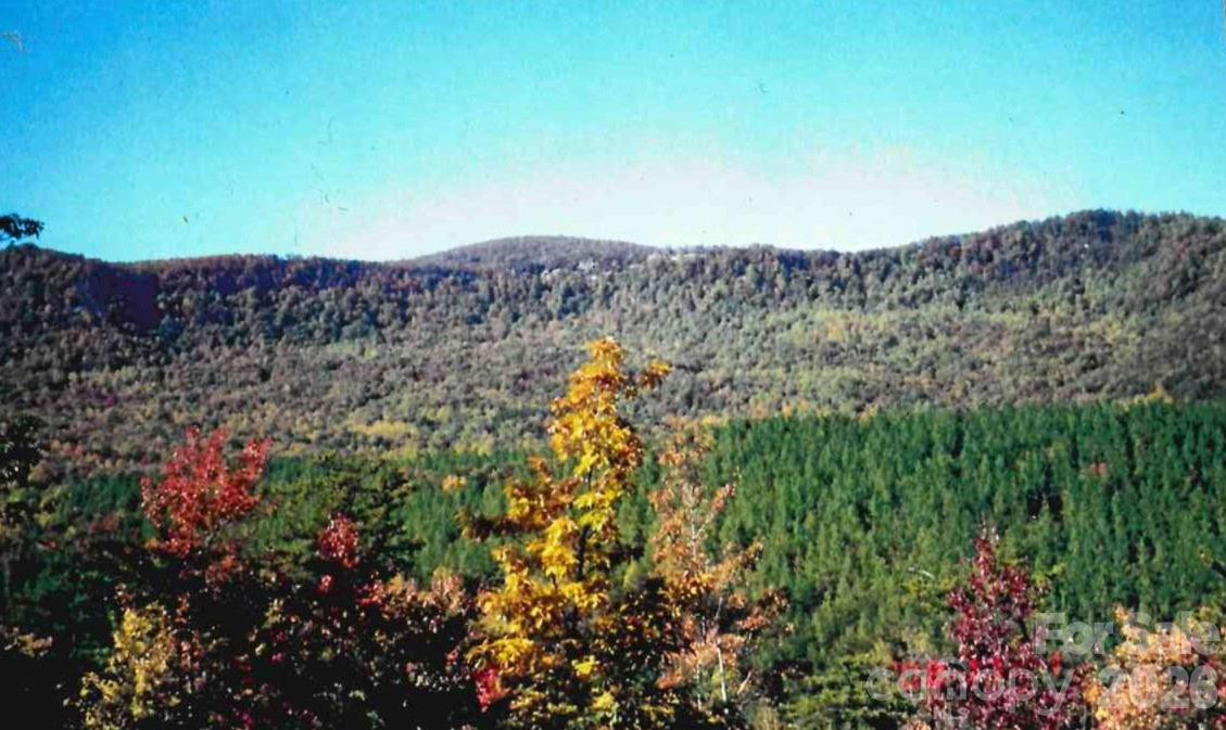 000 Froggyville Lane - Photo 3