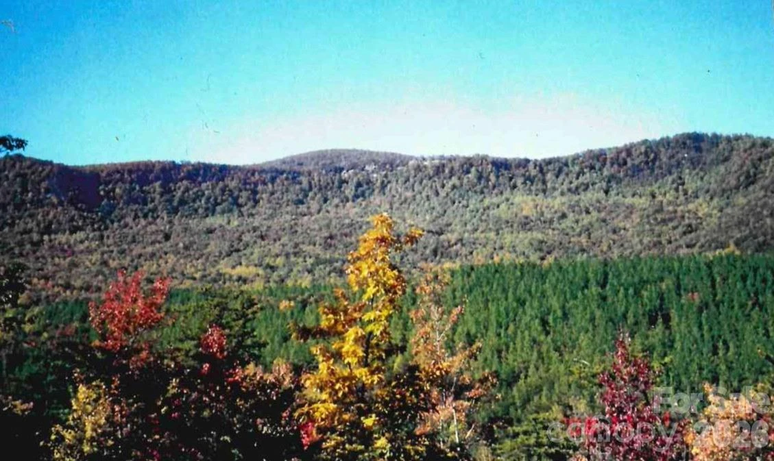 000 Froggyville Lane - Photo 3