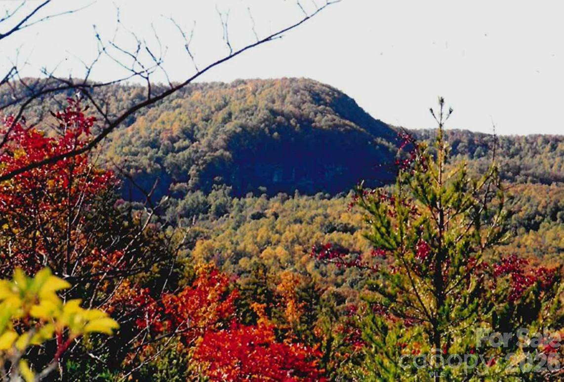 000 Froggyville Lane - Photo 4