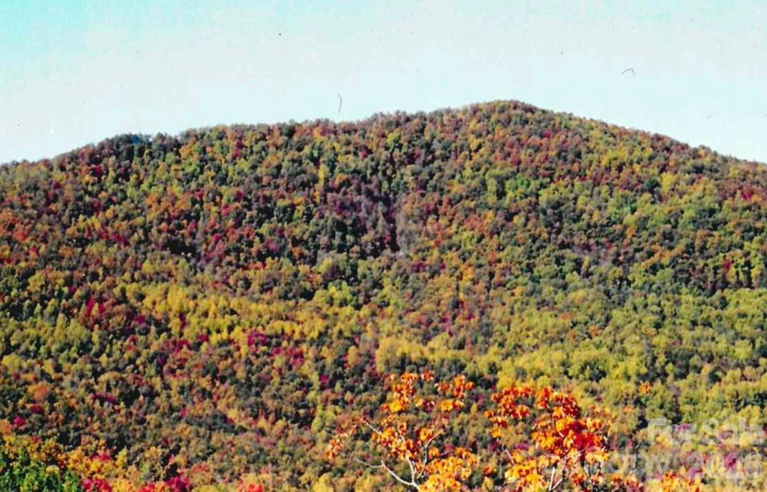 000 Froggyville Lane - Photo 5