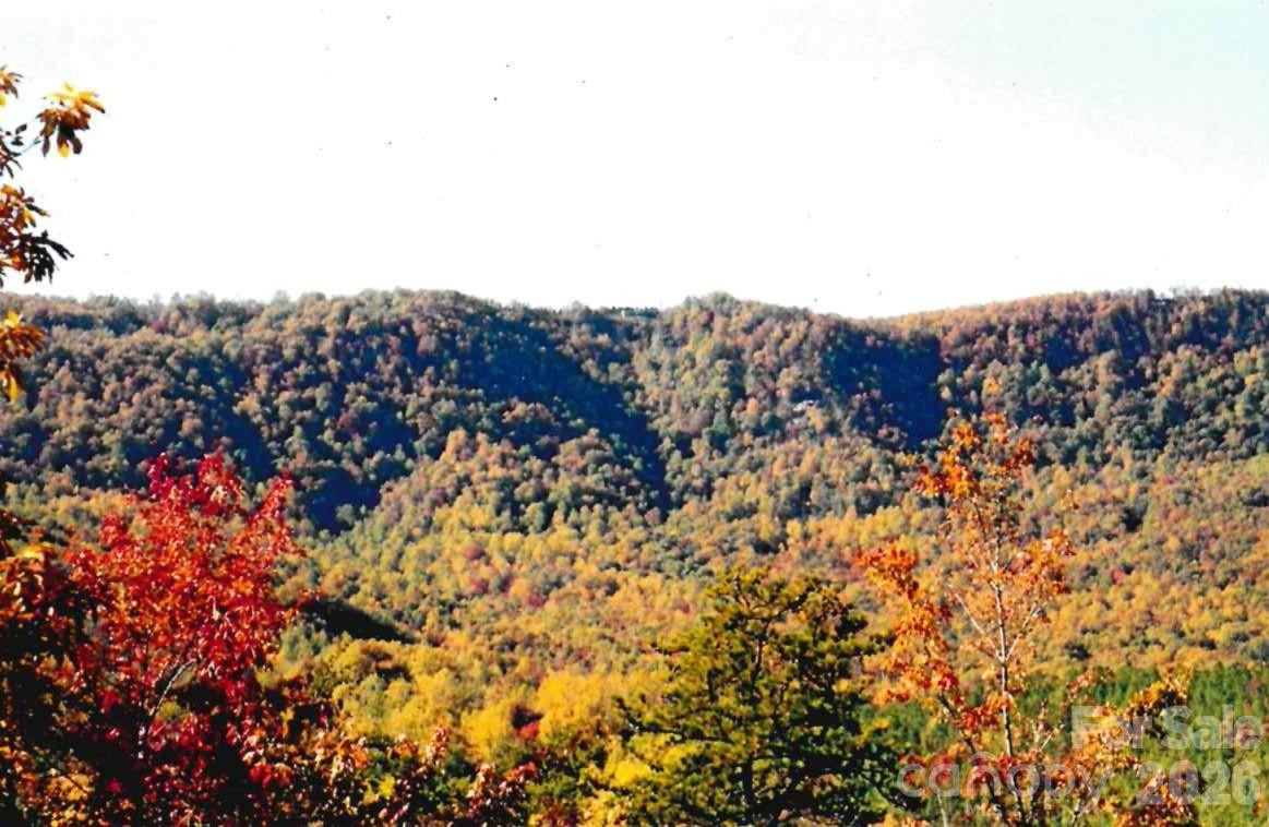 000 Froggyville Lane - Photo 6