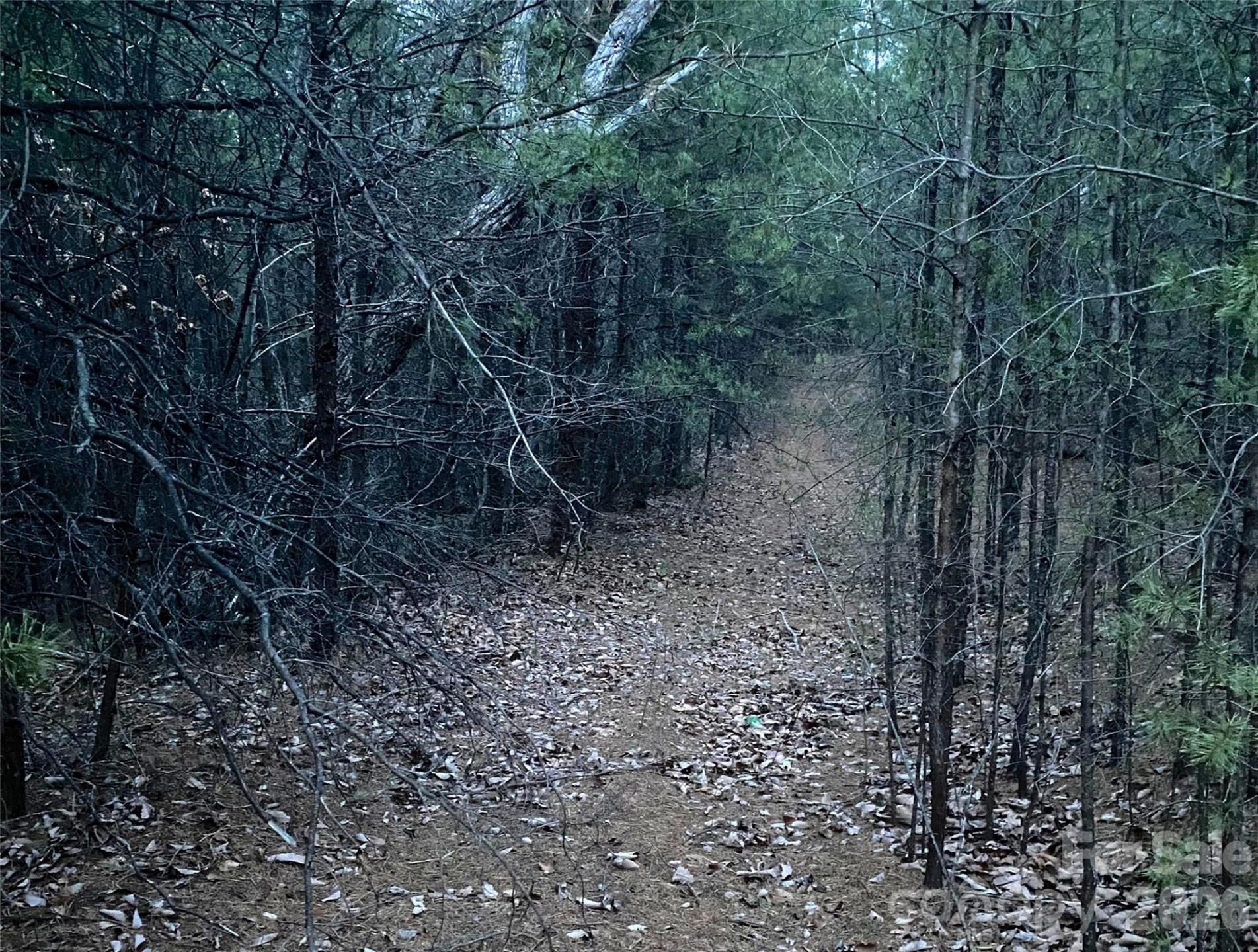 000 Froggyville Lane - Photo 7