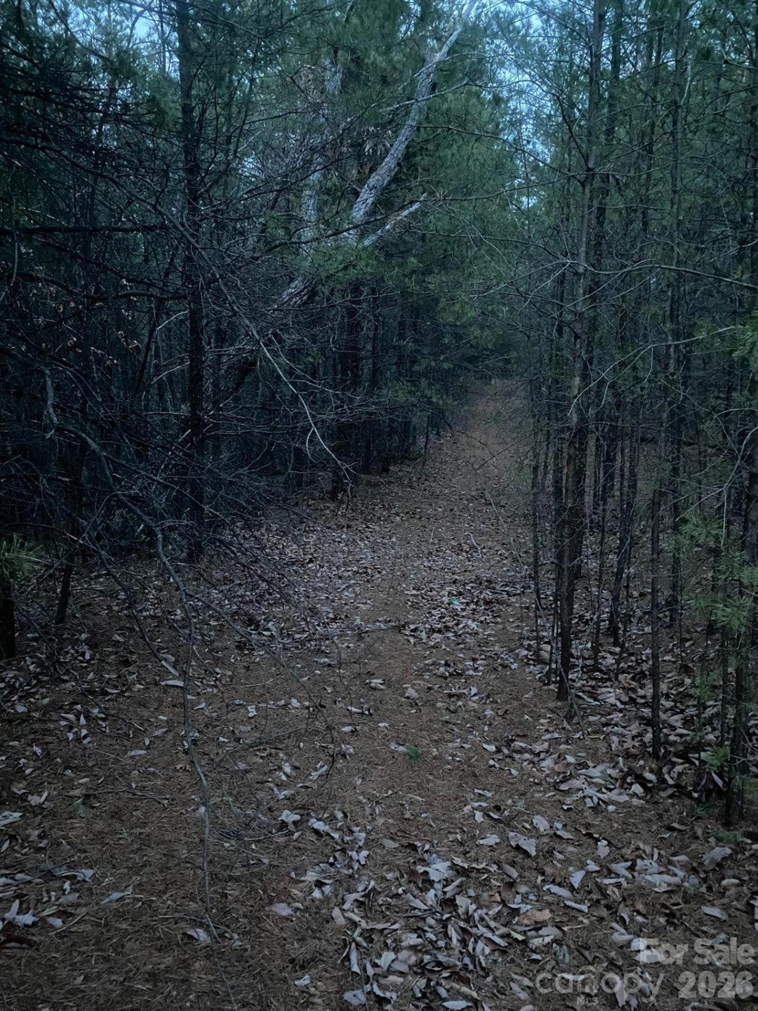 000 Froggyville Lane - Photo 8