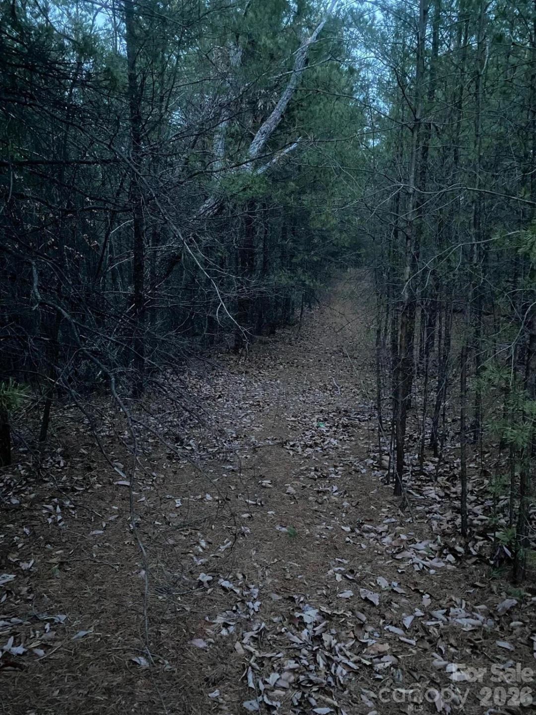 000 Froggyville Lane - Photo 8