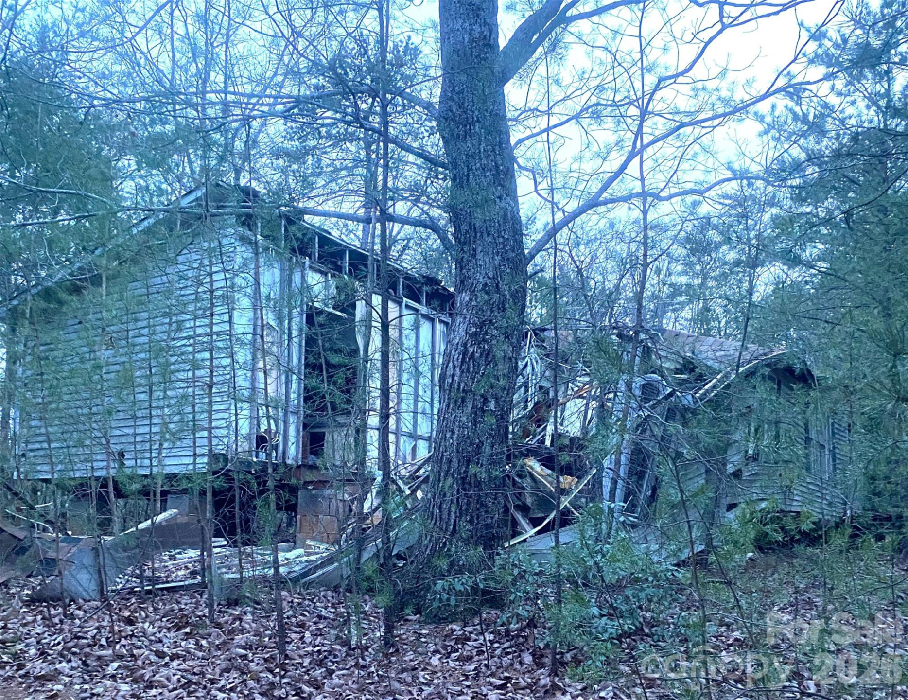000 Froggyville Lane - Photo 10