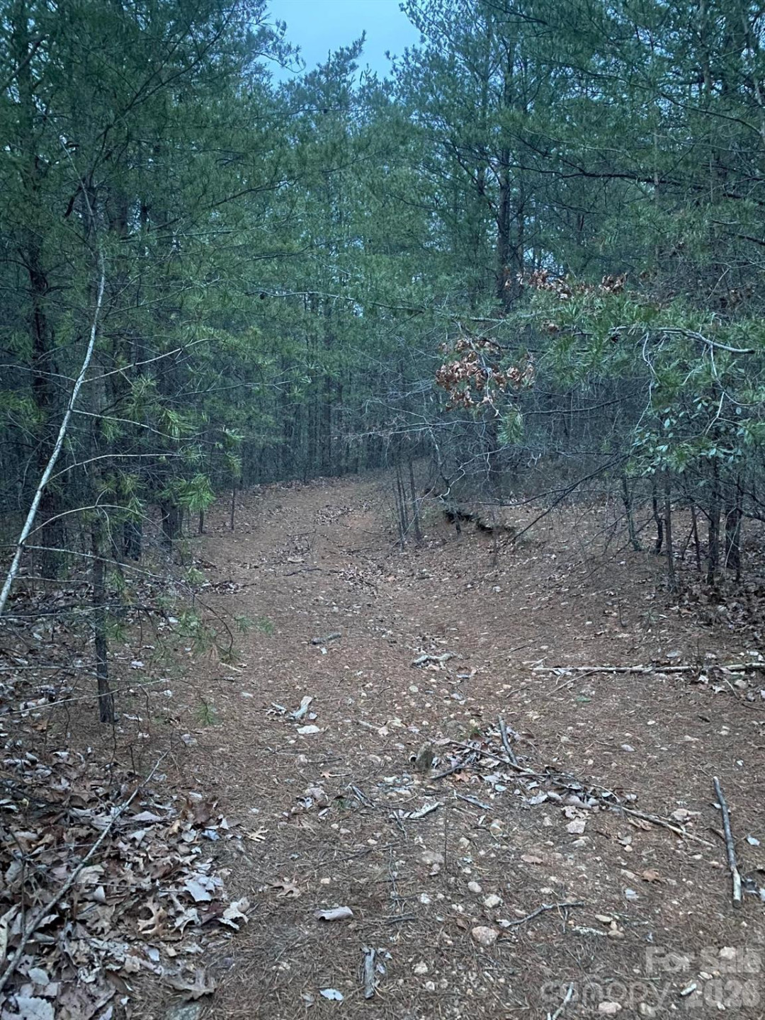 000 Froggyville Lane - Photo 11